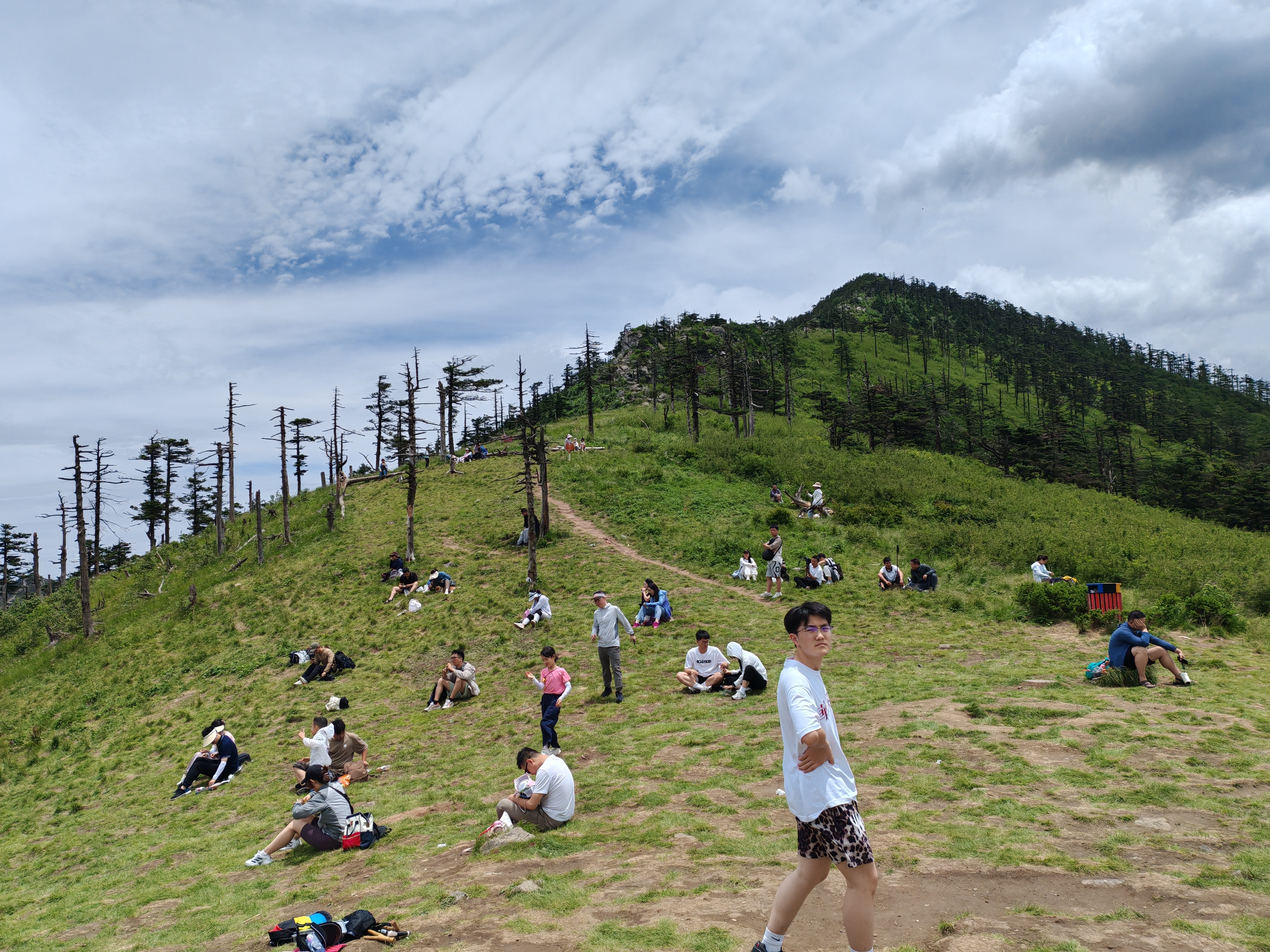 朱雀森林公园高山草甸图片