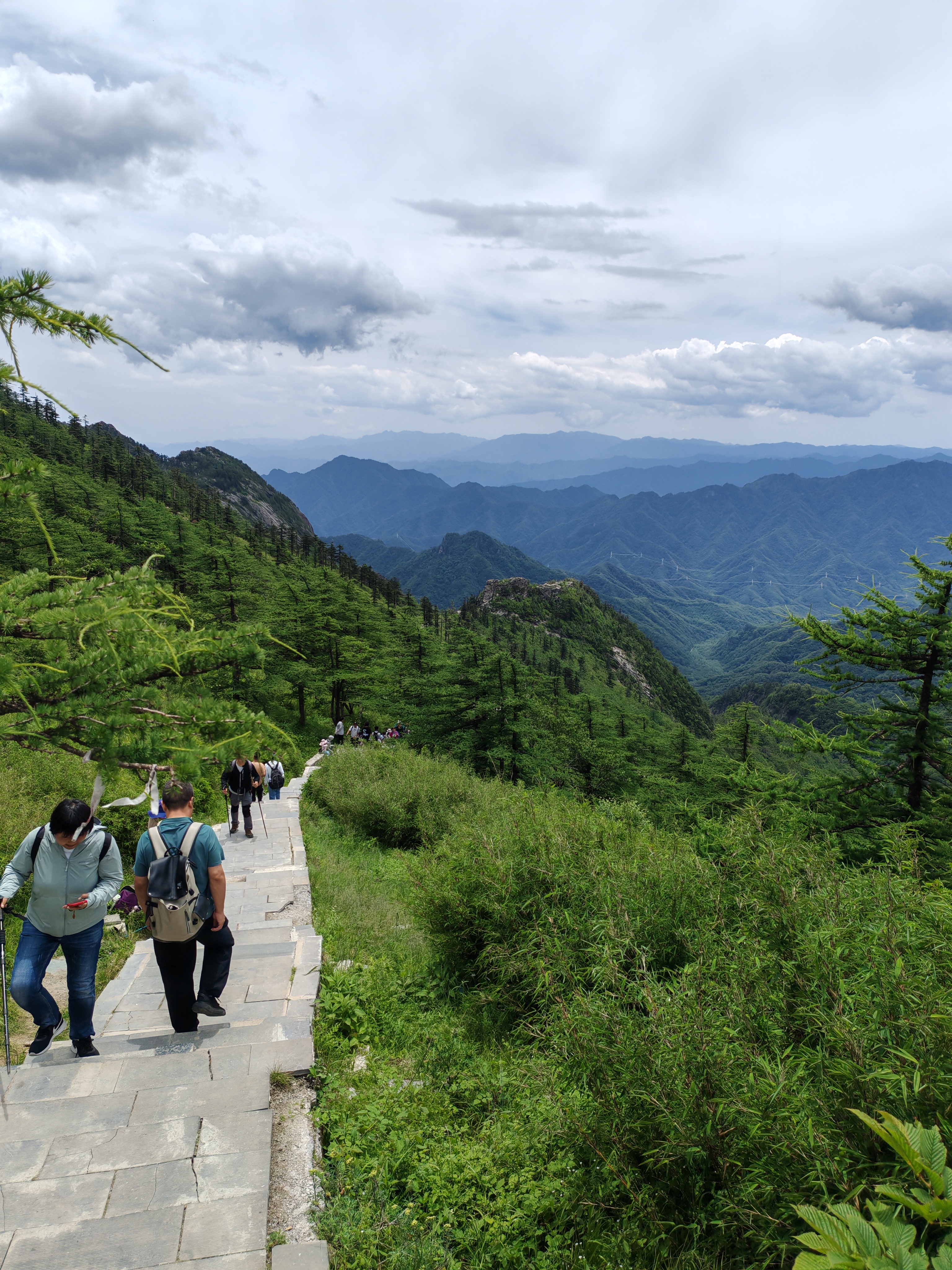 朱雀森林公园高山草甸图片