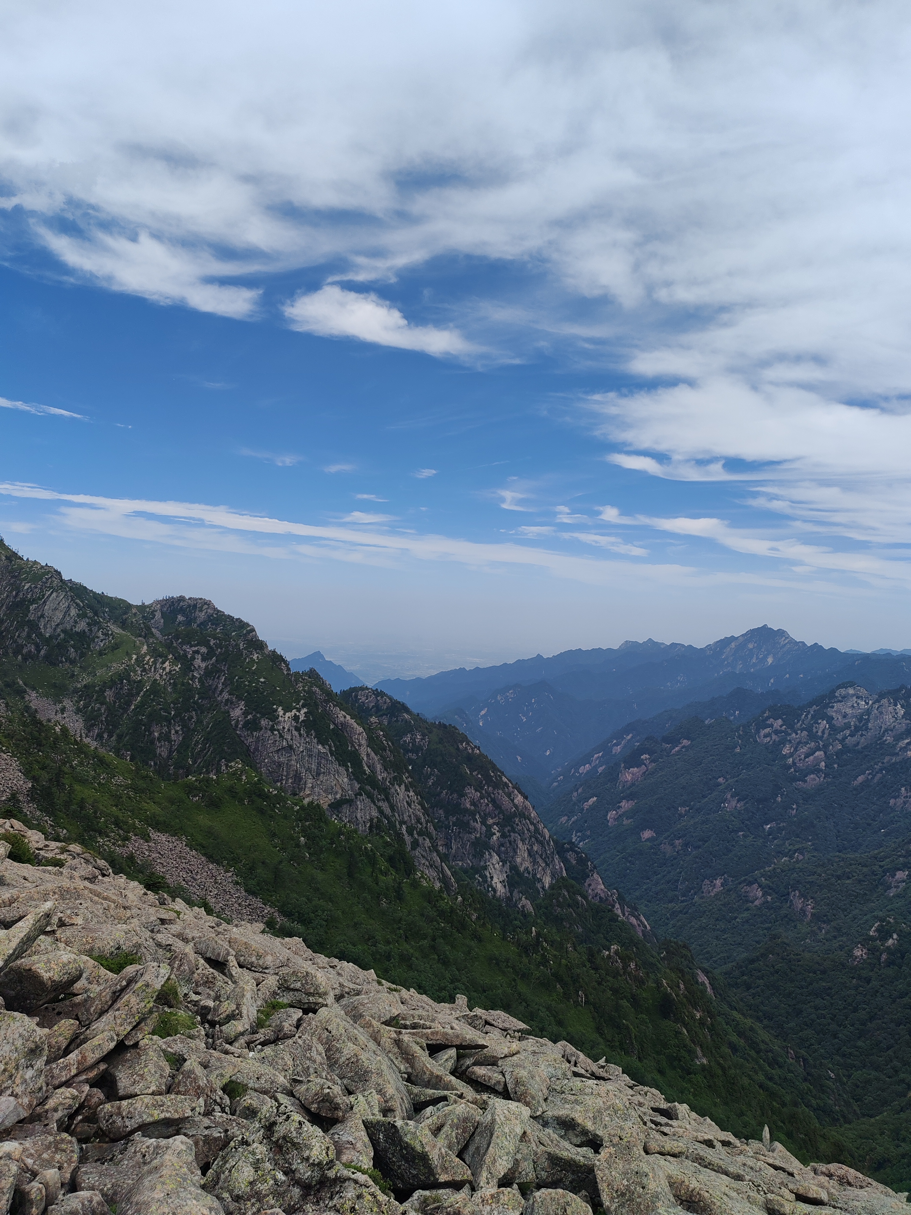 朱雀森林公园高山草甸图片