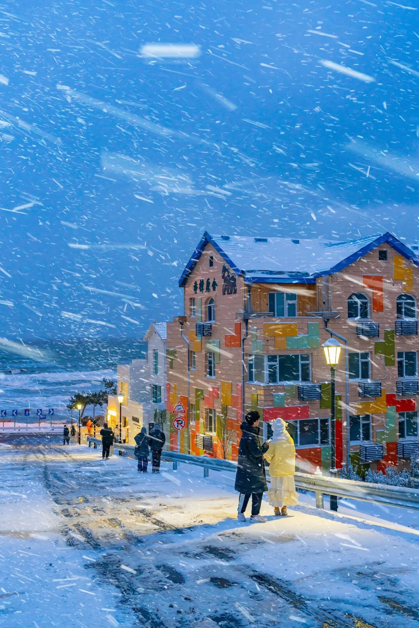 威海冬季必去 天鹅湖 雪景