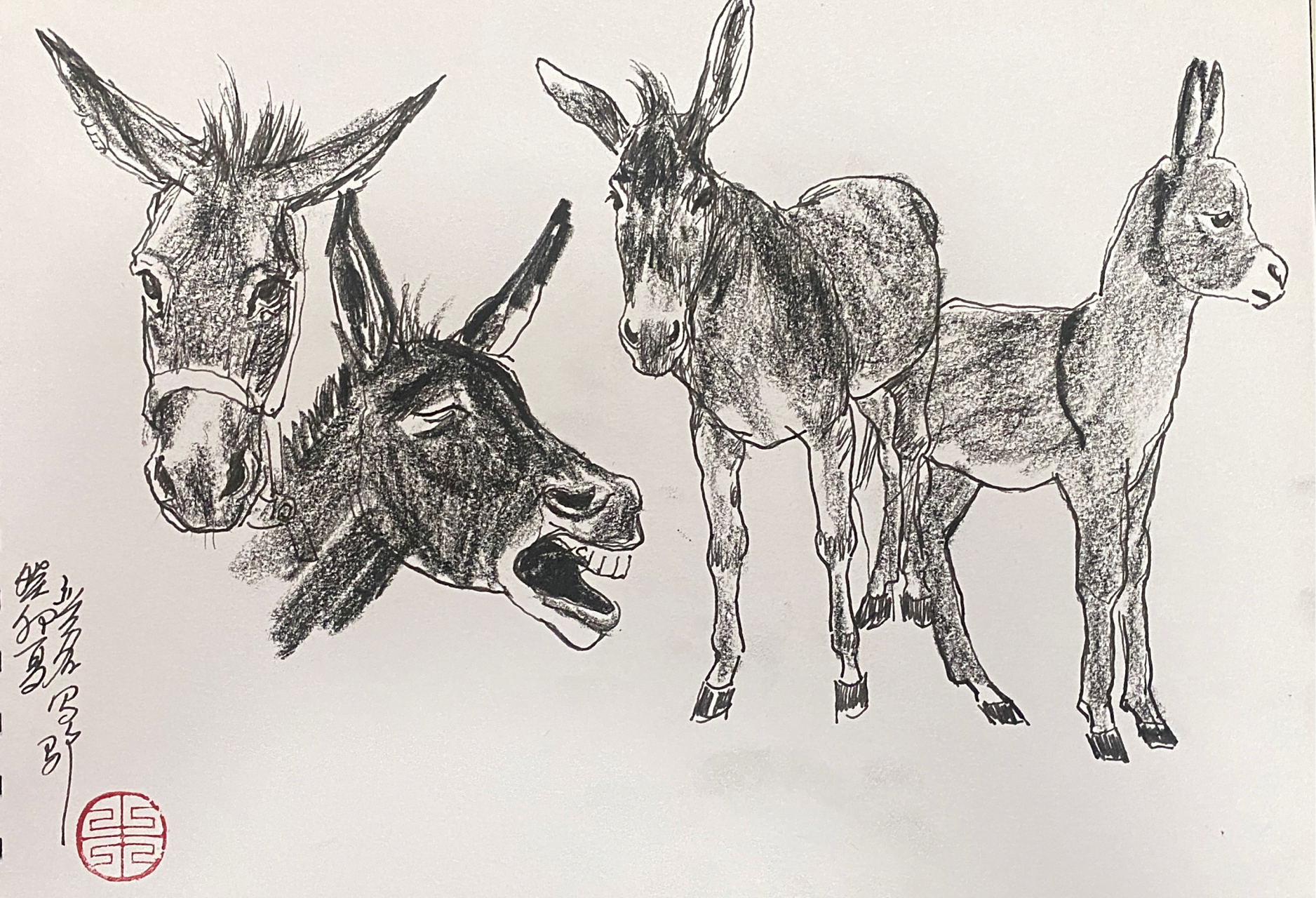 朱奕名速写《驴》
