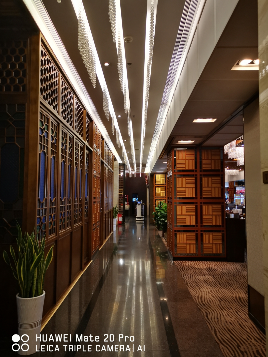 美味佳肴预制菜, 便捷生活好选择. 休言速食无真味, 科技调来胜御 