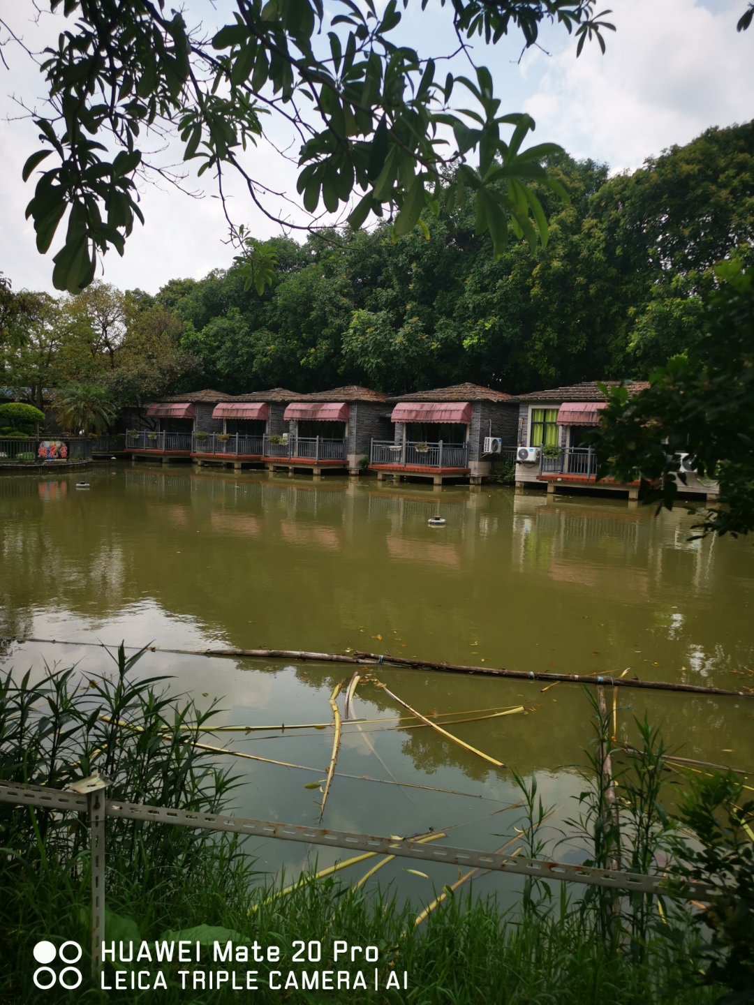 心若浮云常自在, 何须执念叹流年. 平凡之中闪光华, 于无声处见芳花