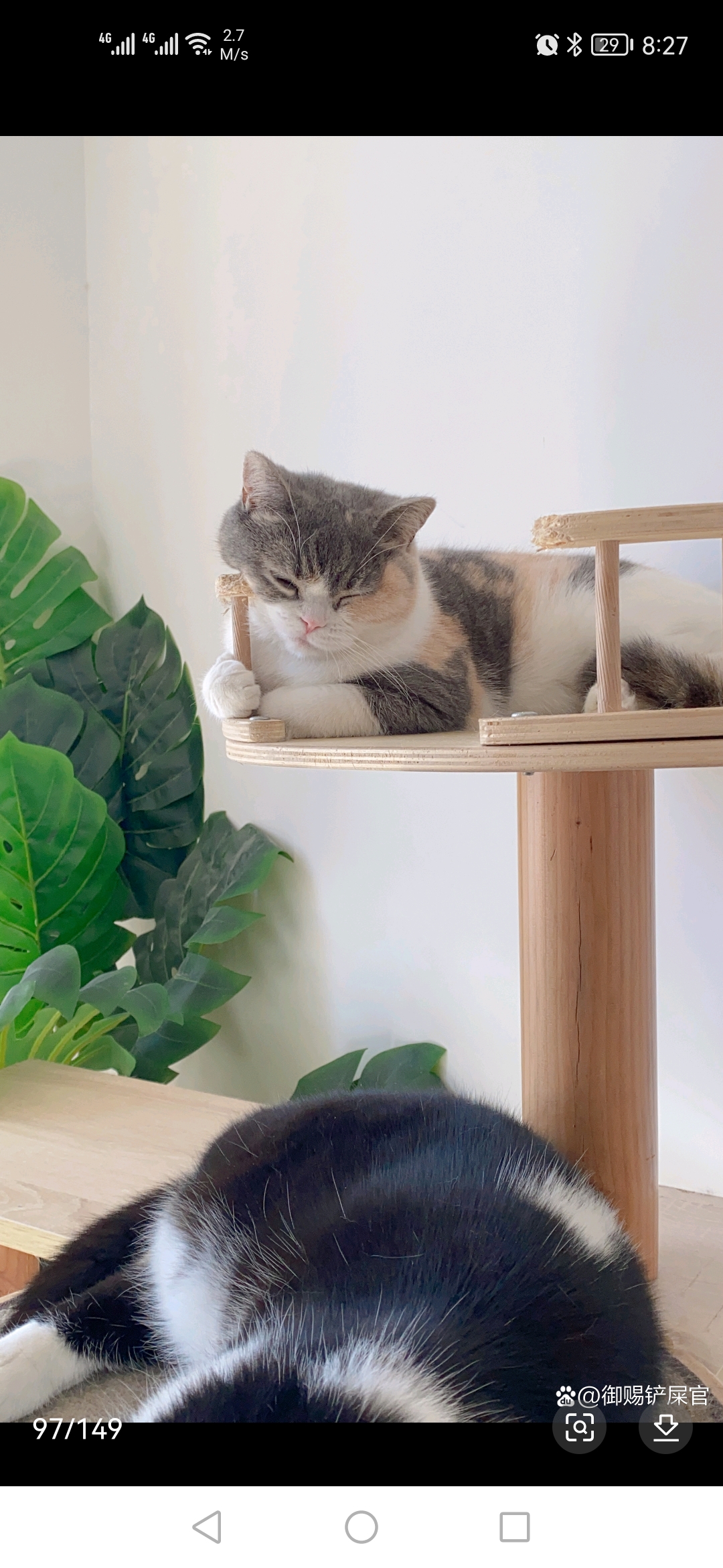 可爱的年年[亲吻][亲吻][亲吻][亲吻][赞同][赞同][赞同]