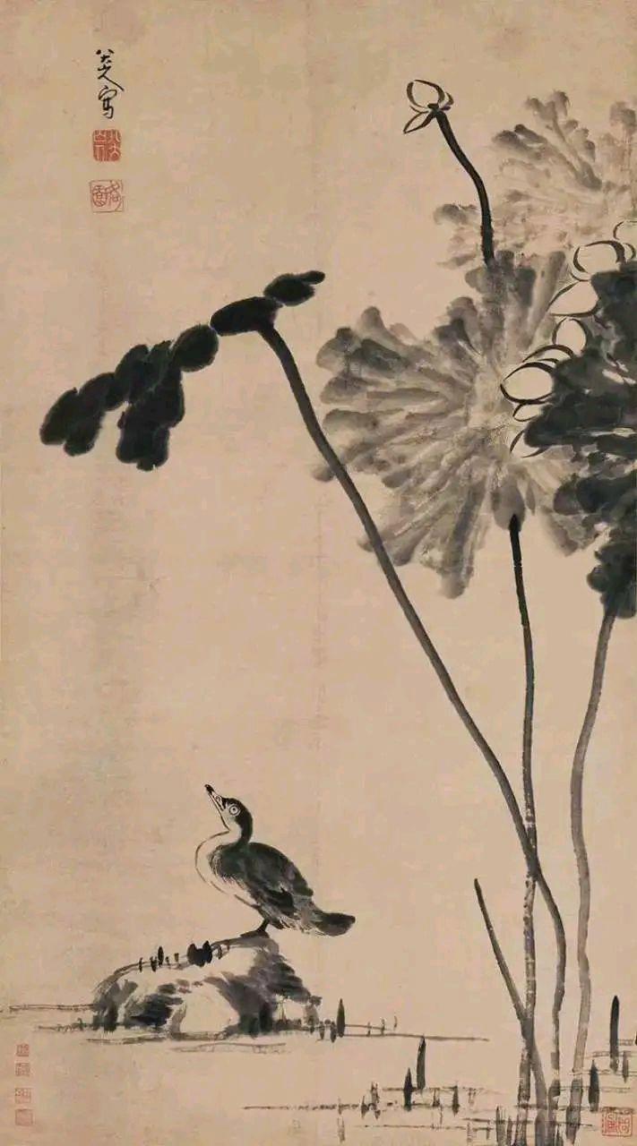八大山人花鸟画作品
