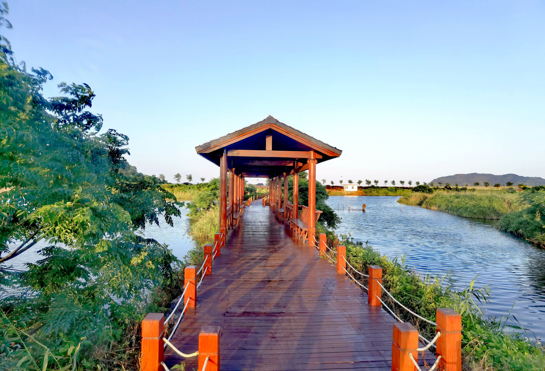 大湖湿地公园