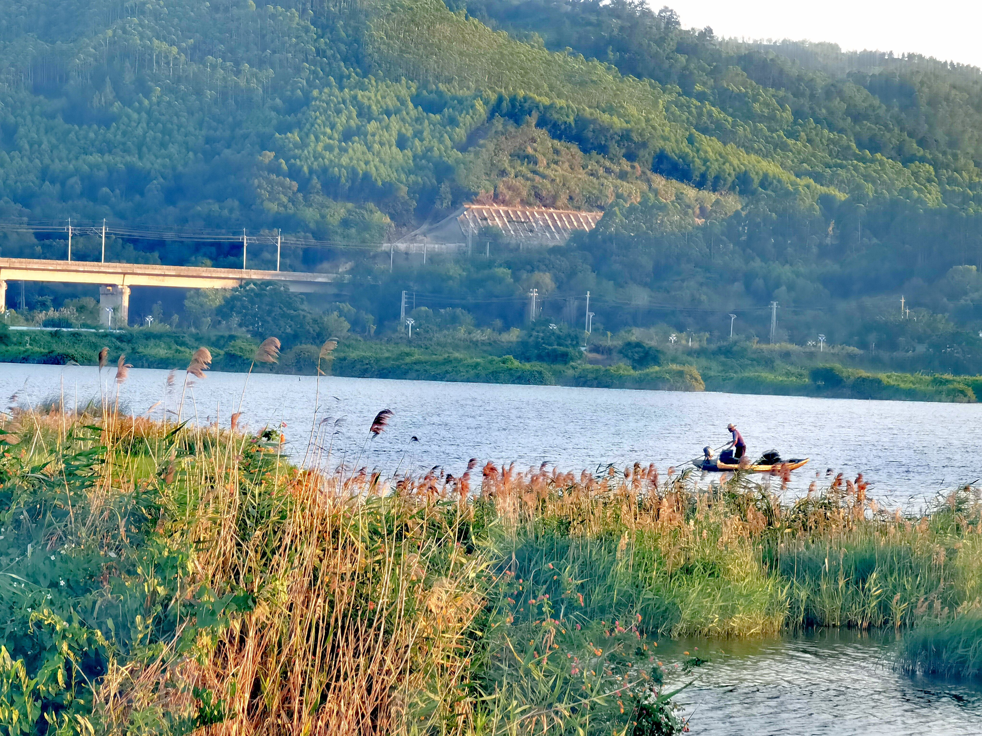 赣县湿地公园图片图片