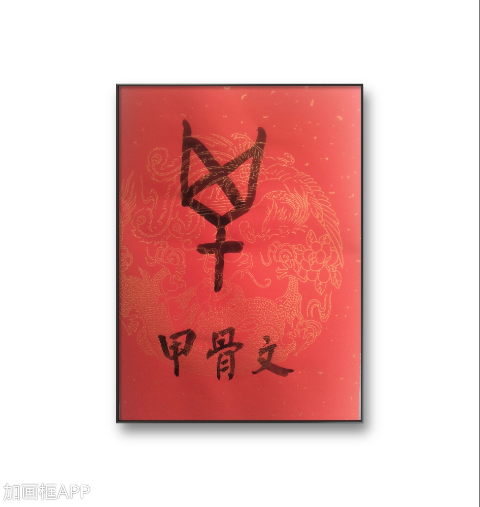 —打猎用的有长柄的网 《说文解字》系列之8