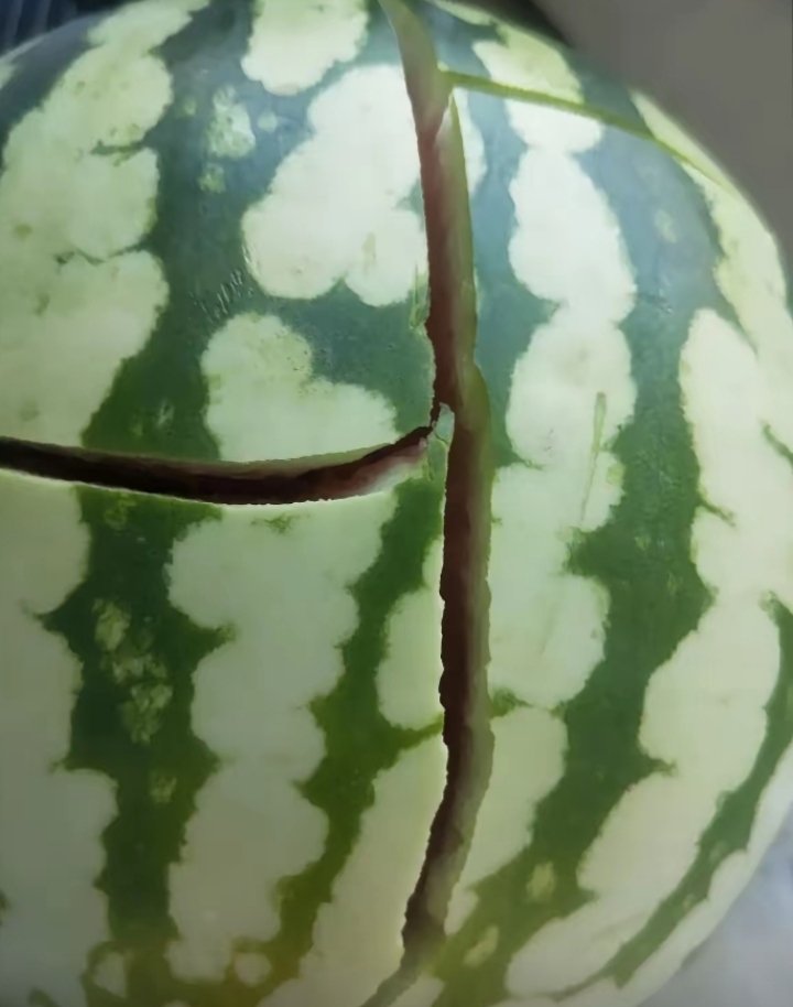 今天下午回家的时候顺路买了一个西瓜,正准备拿刀切的时候,女儿用手一