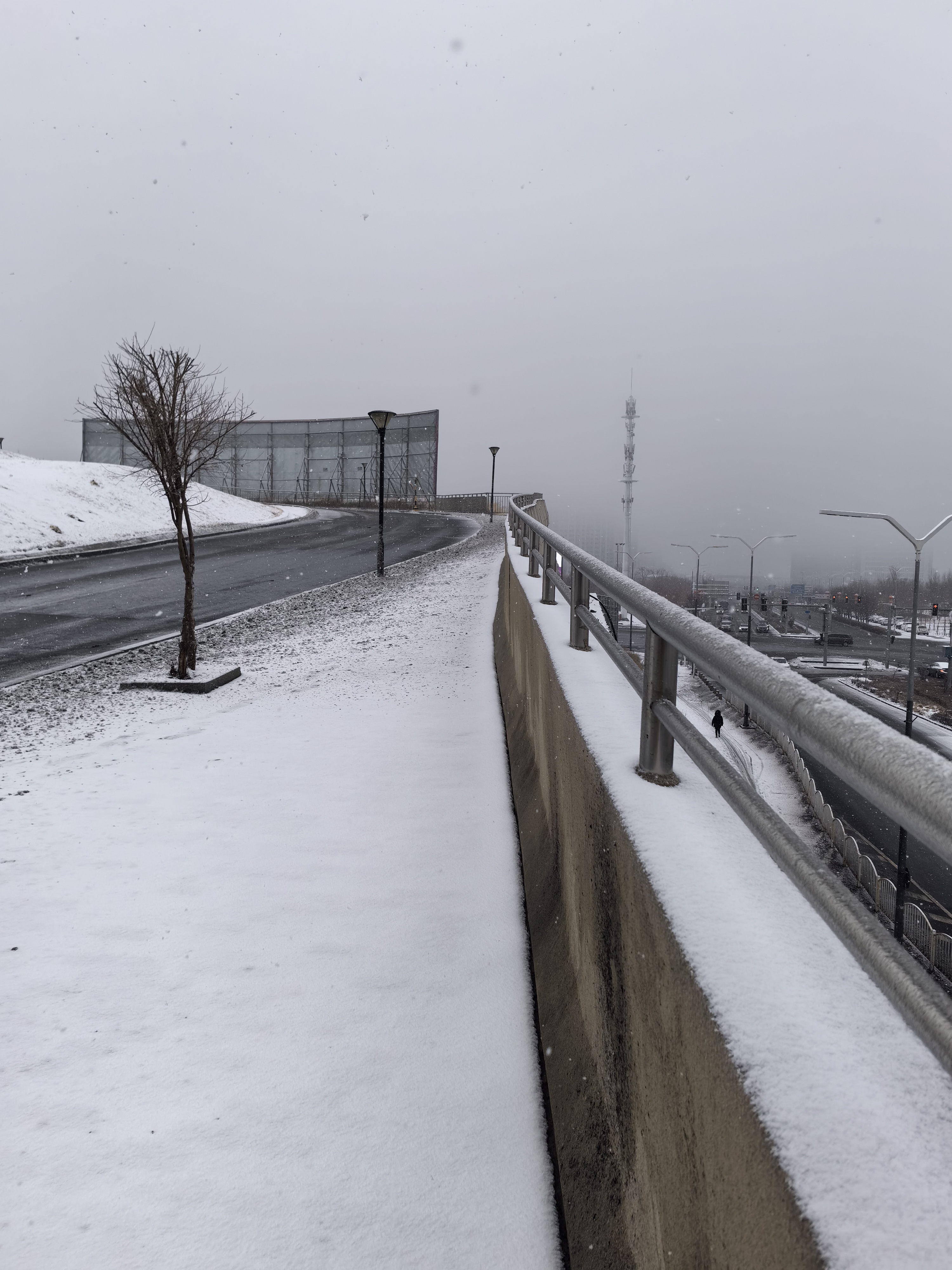 乌鲁木齐街头雪景图片