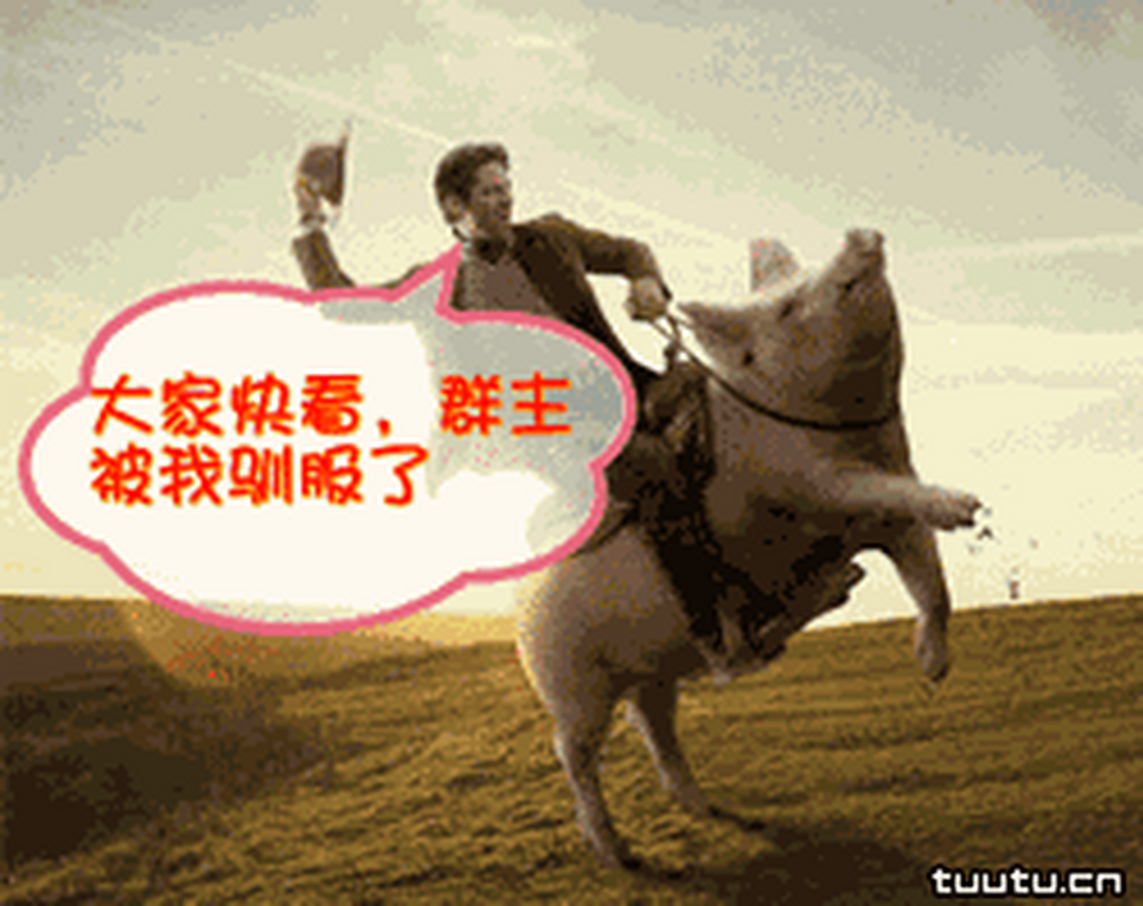 qq群主=群主能删除群成员发的消息吗
