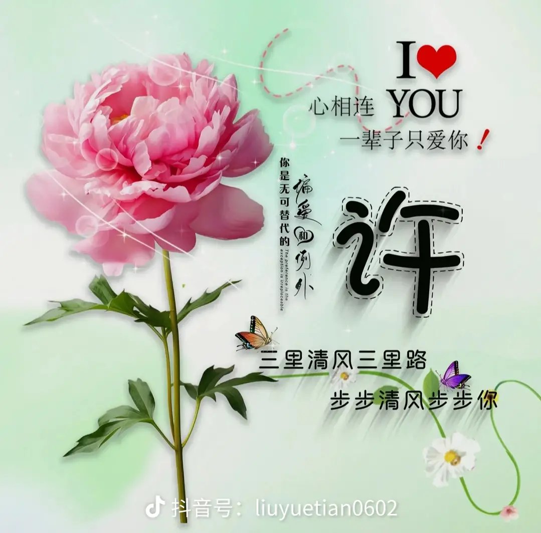 许姓头像