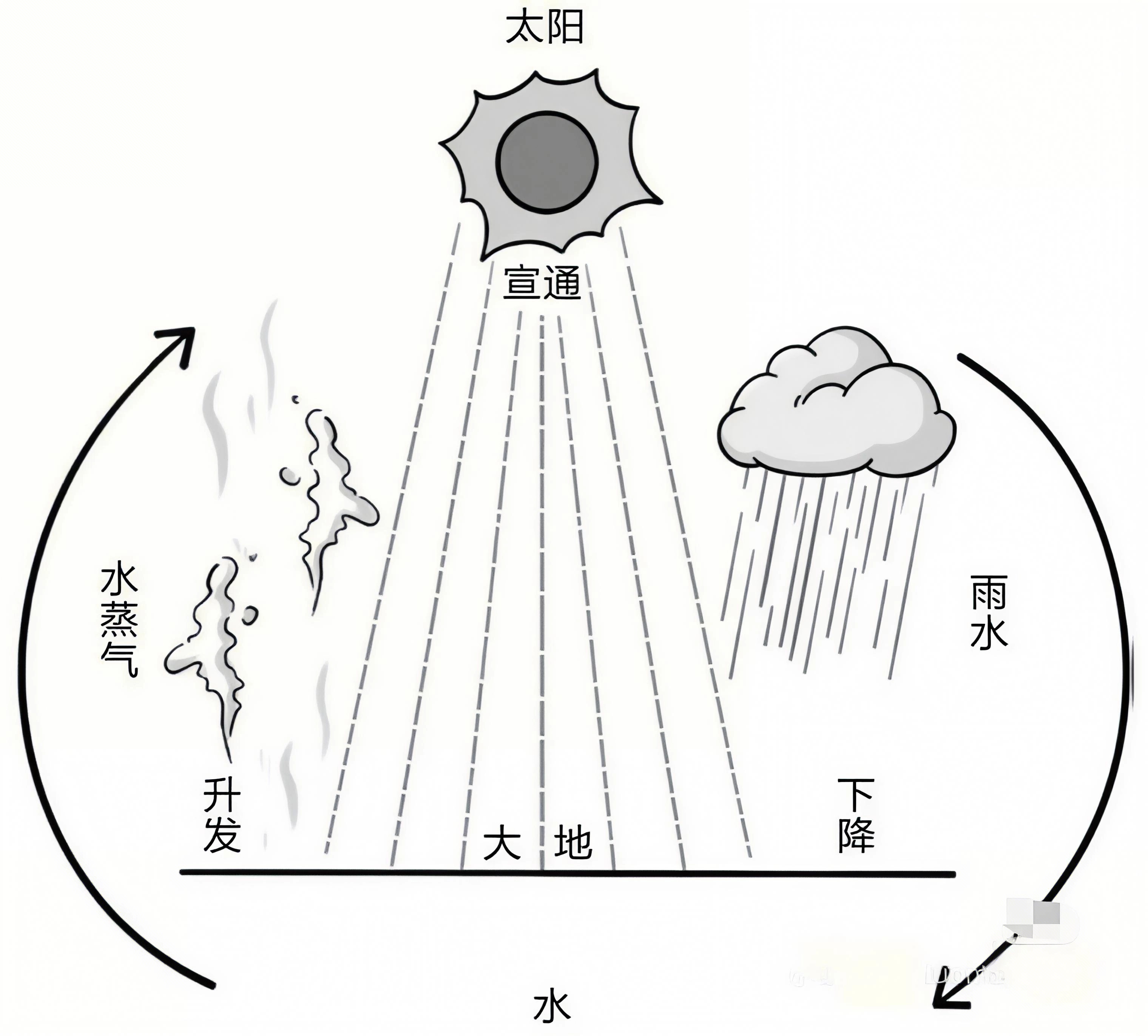 原来五行是这样的含义 树木都是向上生长的,由小到