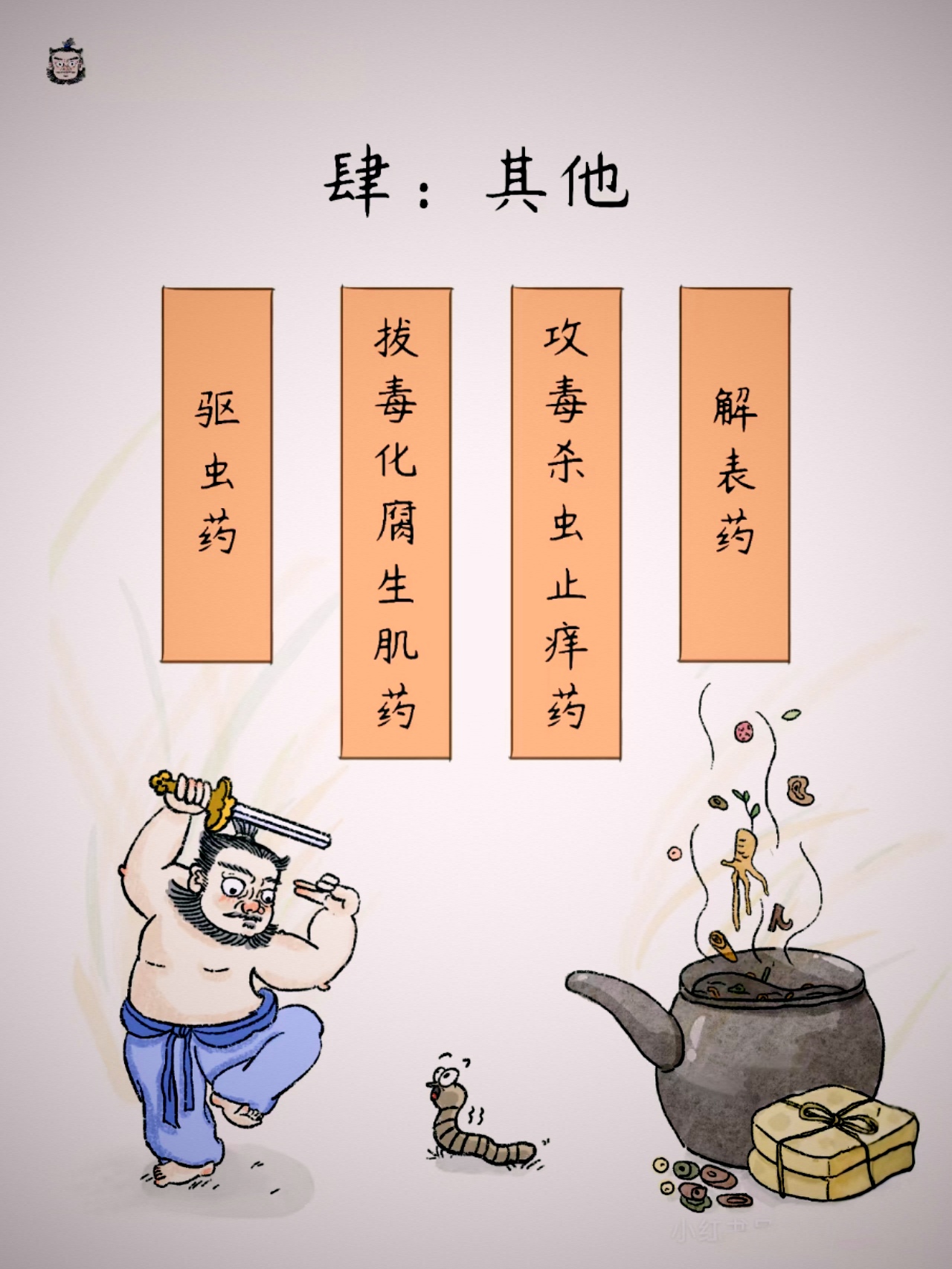 想学好它,得先了解不同中药的作用
