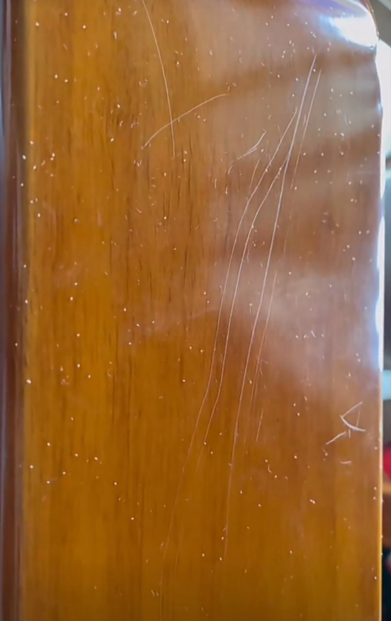 尘虱一旦出现非常头痛,用湿毛巾搽干净第二天又有,主要分布在阴暗潮湿