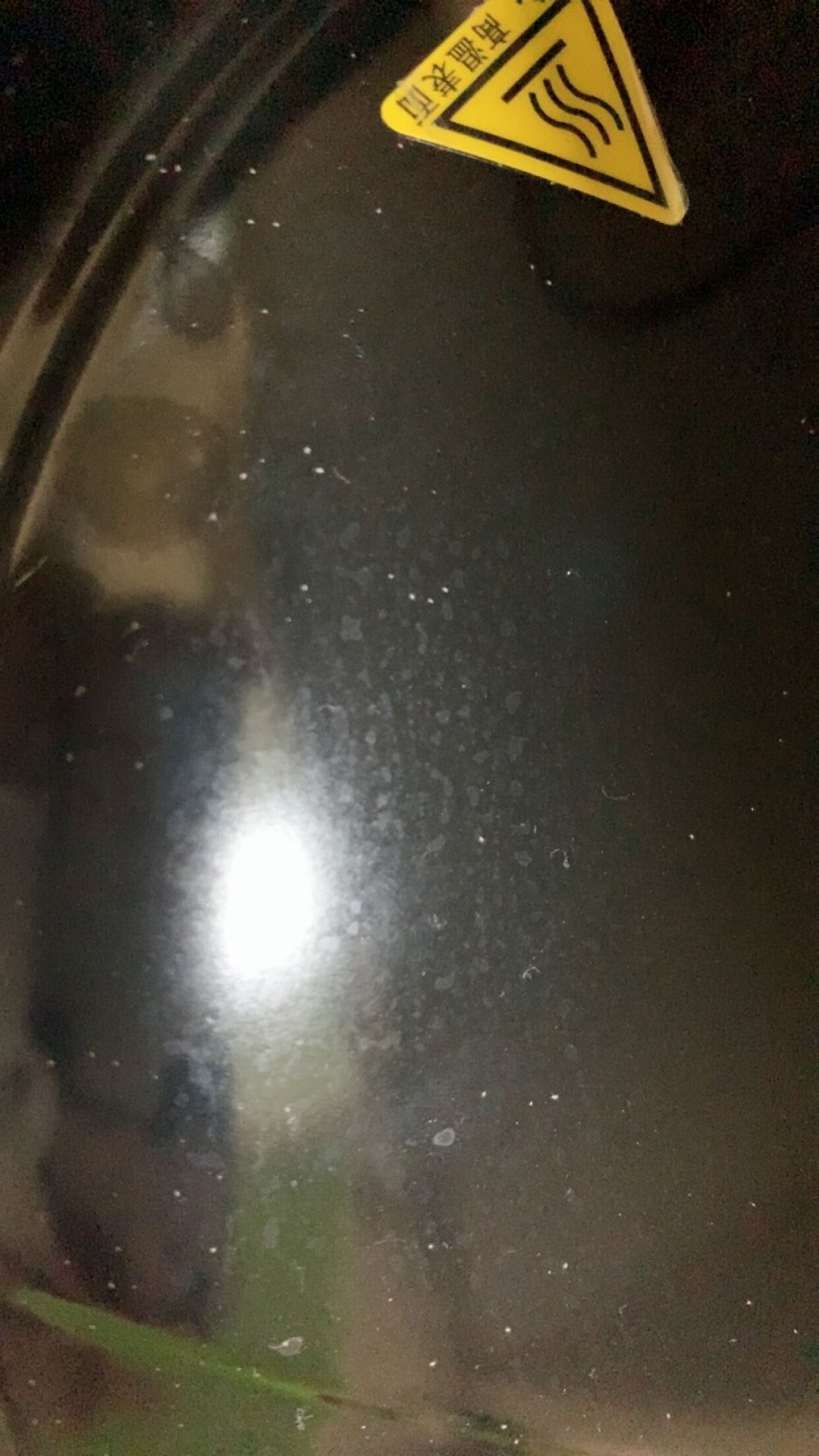 虫家里有很小的白色虫子是什梦蚁衷谧獾姆孔永锩嬗谐鱿 白色小虫虫