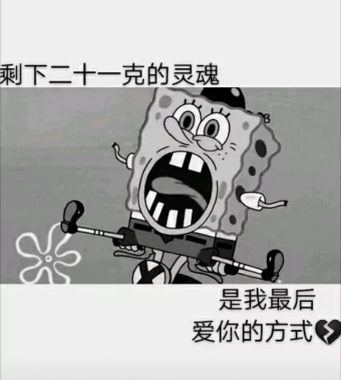 动画片中的经典语录图片