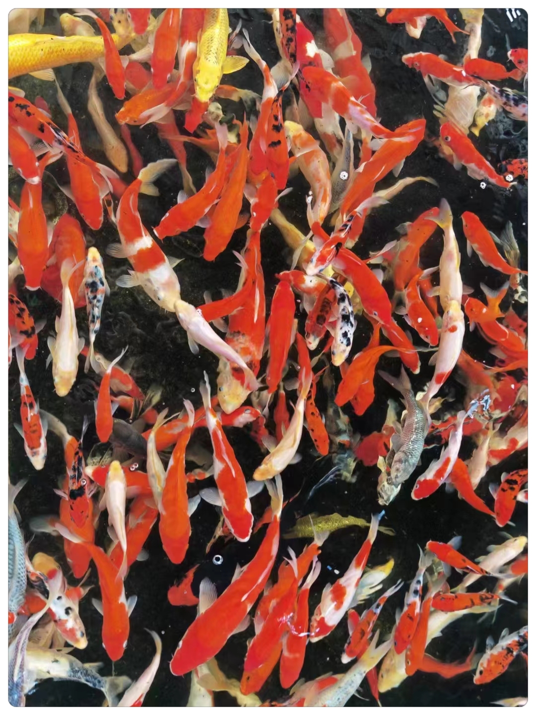 励志┃理解这四句话,或能帮你职场游刃有余!