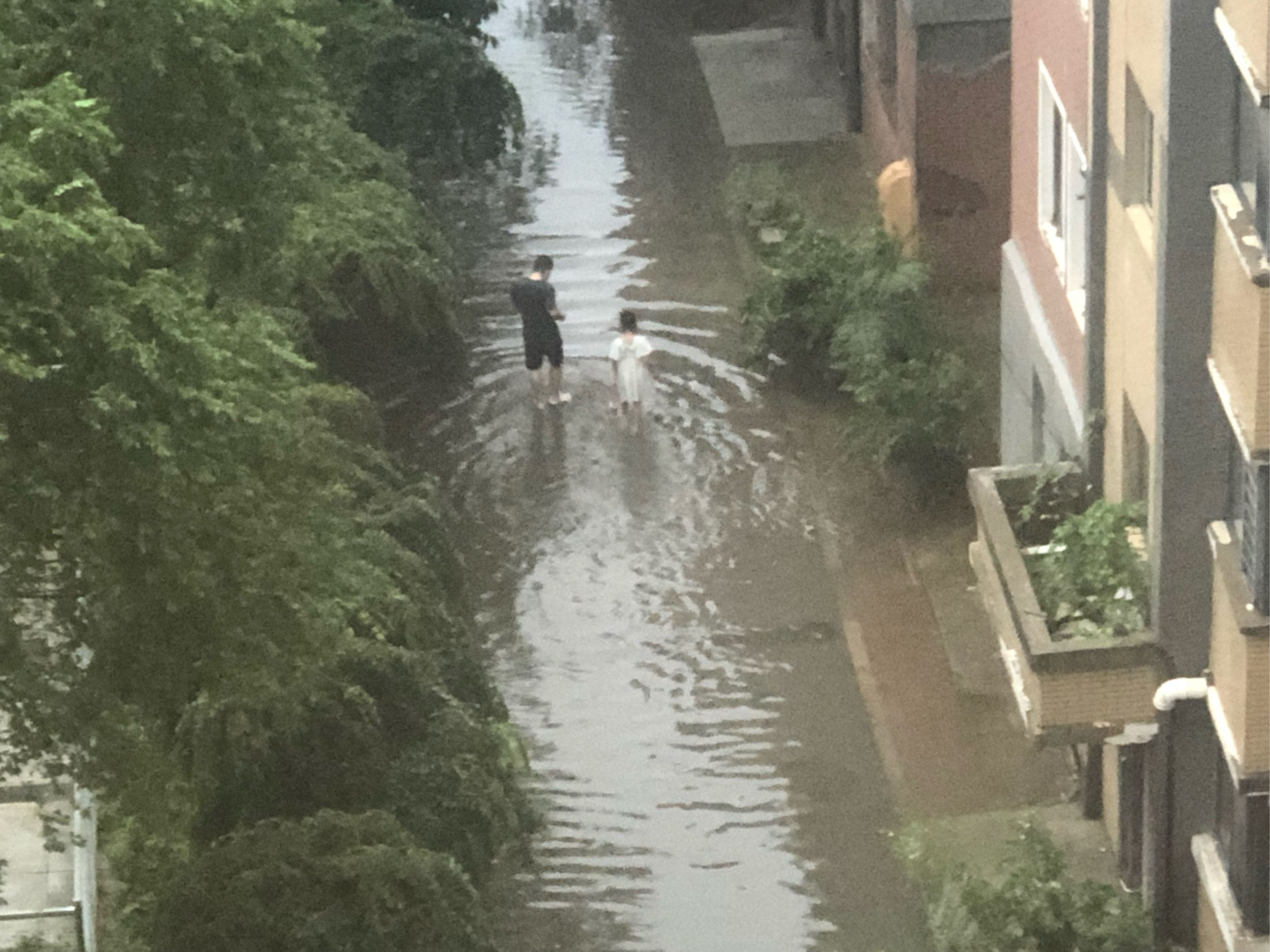 沈阳恒大江湾积水图片