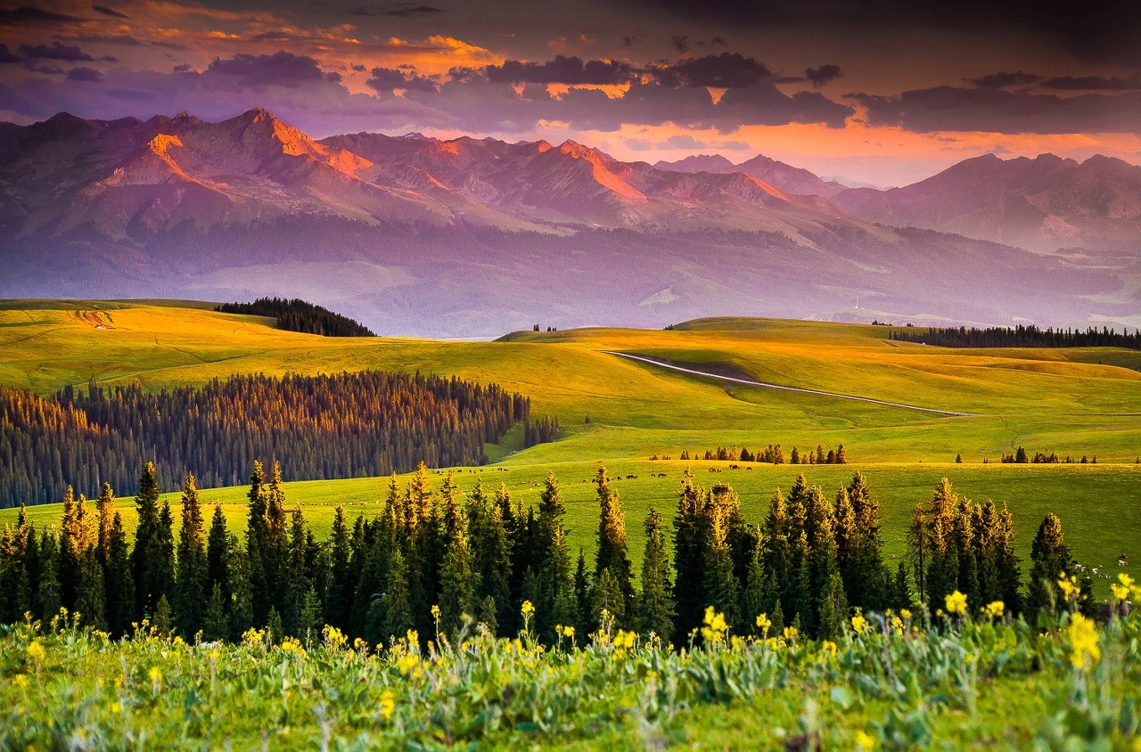 大美新疆,草原,野花,高山,湖泊构成壮观的美景.