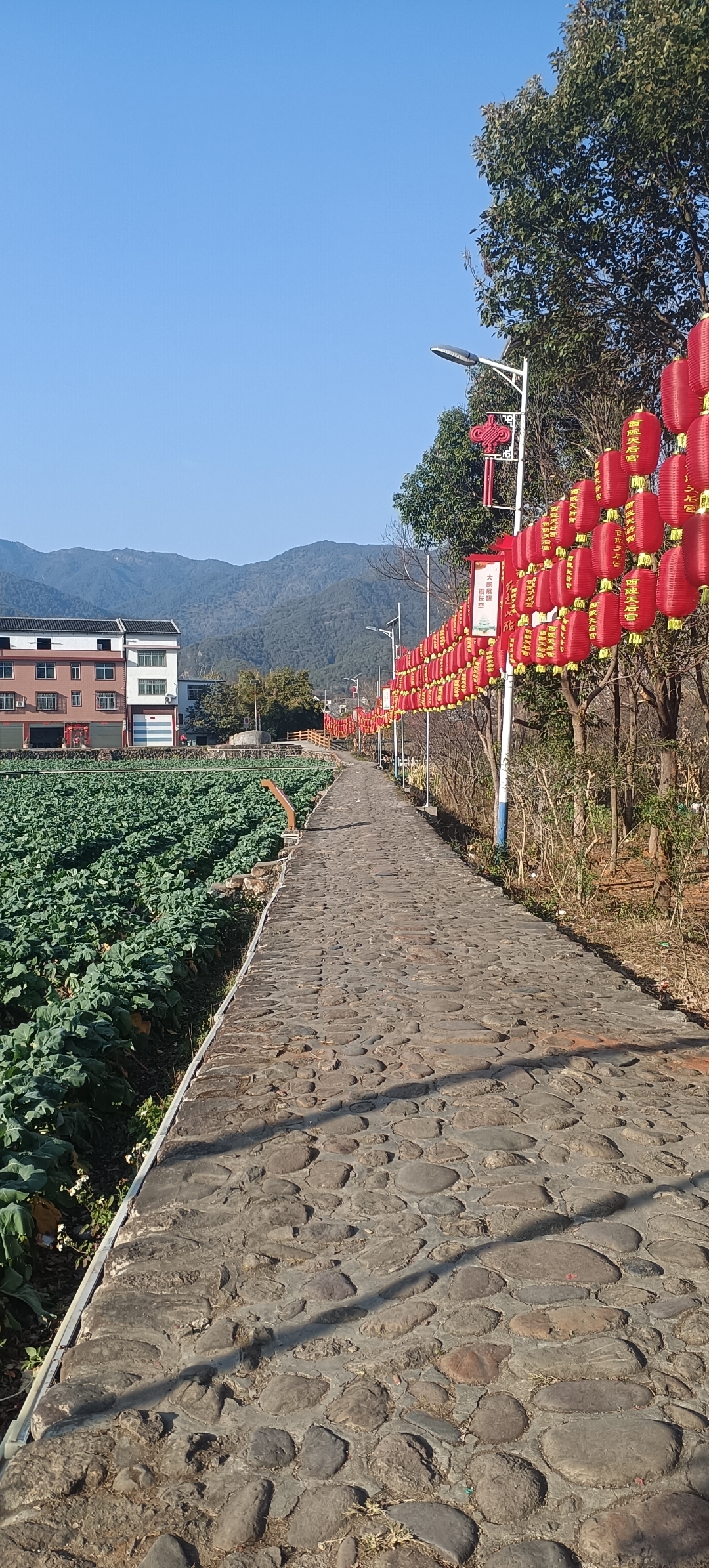 走进这方宁静天地,古雅的塔楼与传统建筑相映成趣
