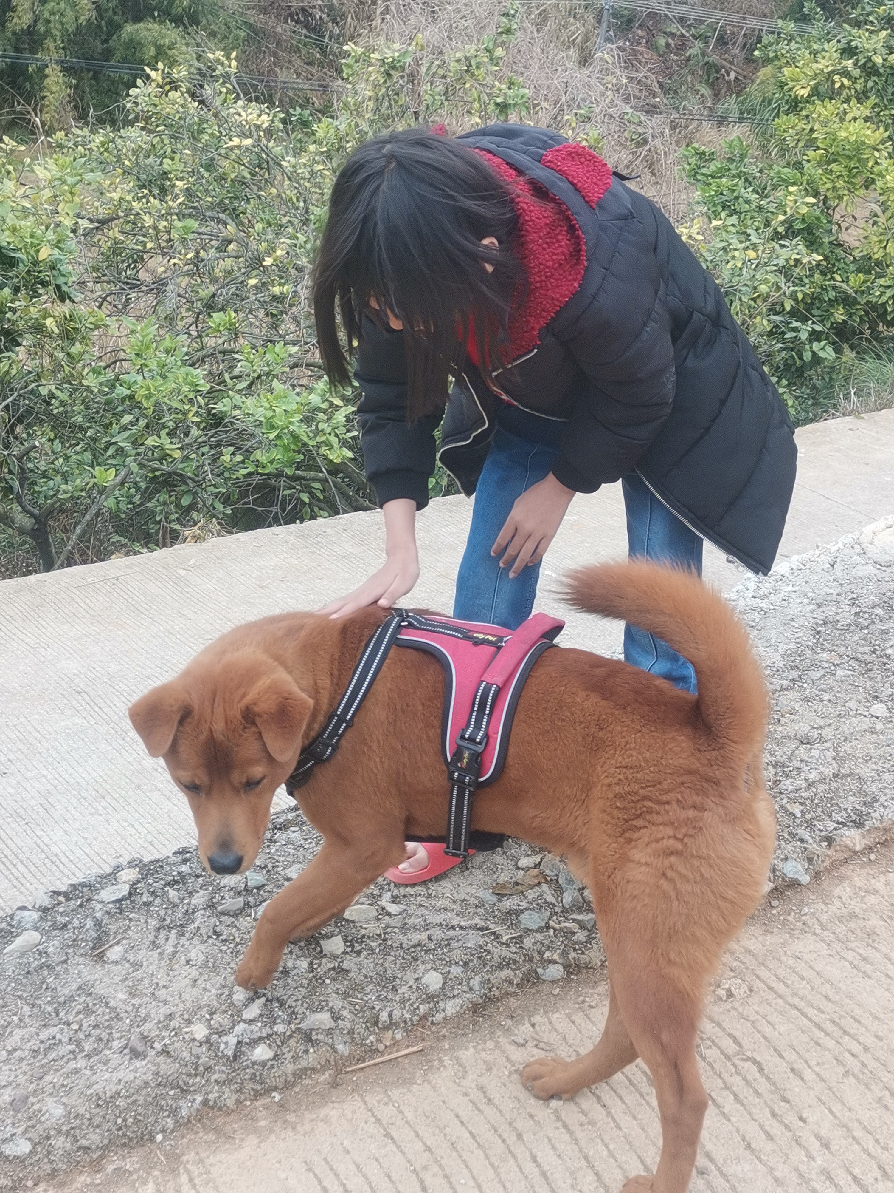 蹲下的瞬间,她温柔地抚摸着狗狗的