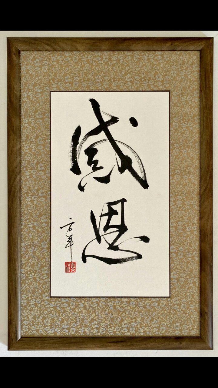 麦奕欣书法作品欣赏,行书: 感恩.