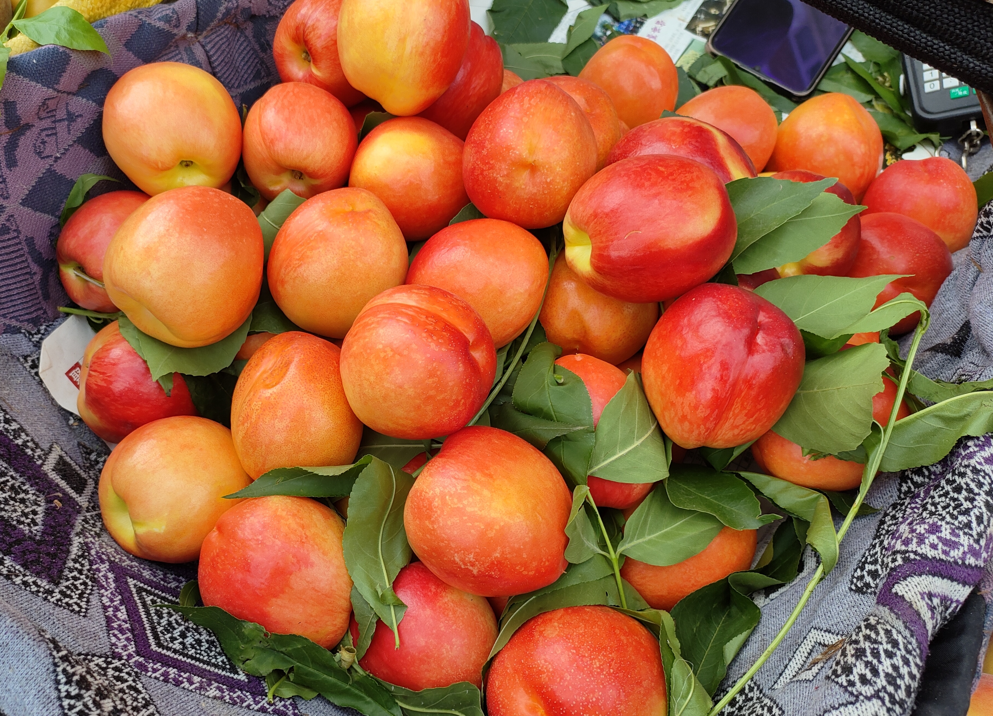 北京平谷桃,杏.