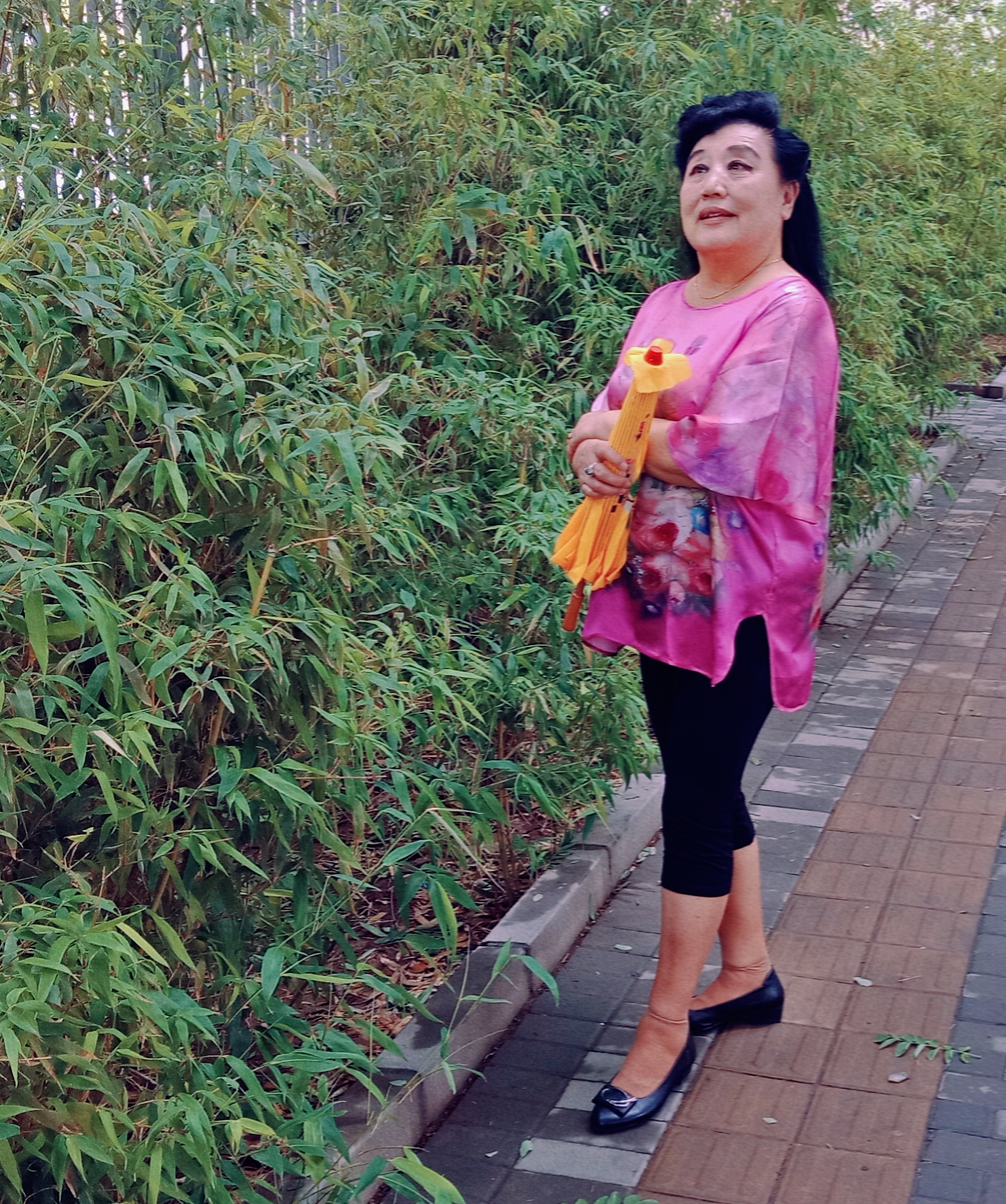 北京市朝阳区平乐园