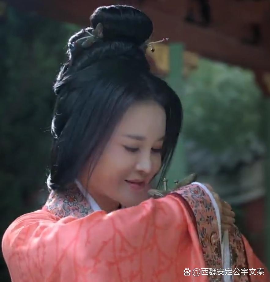 元玉仪,是北魏时期的琅琊公主,本名元玉仪,出身于北魏皇室.