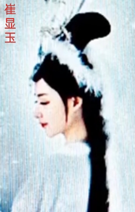 崔显玉(521年—562年)北周太祖宇文泰的侧室夫人,出身清河崔氏,赐姓乌