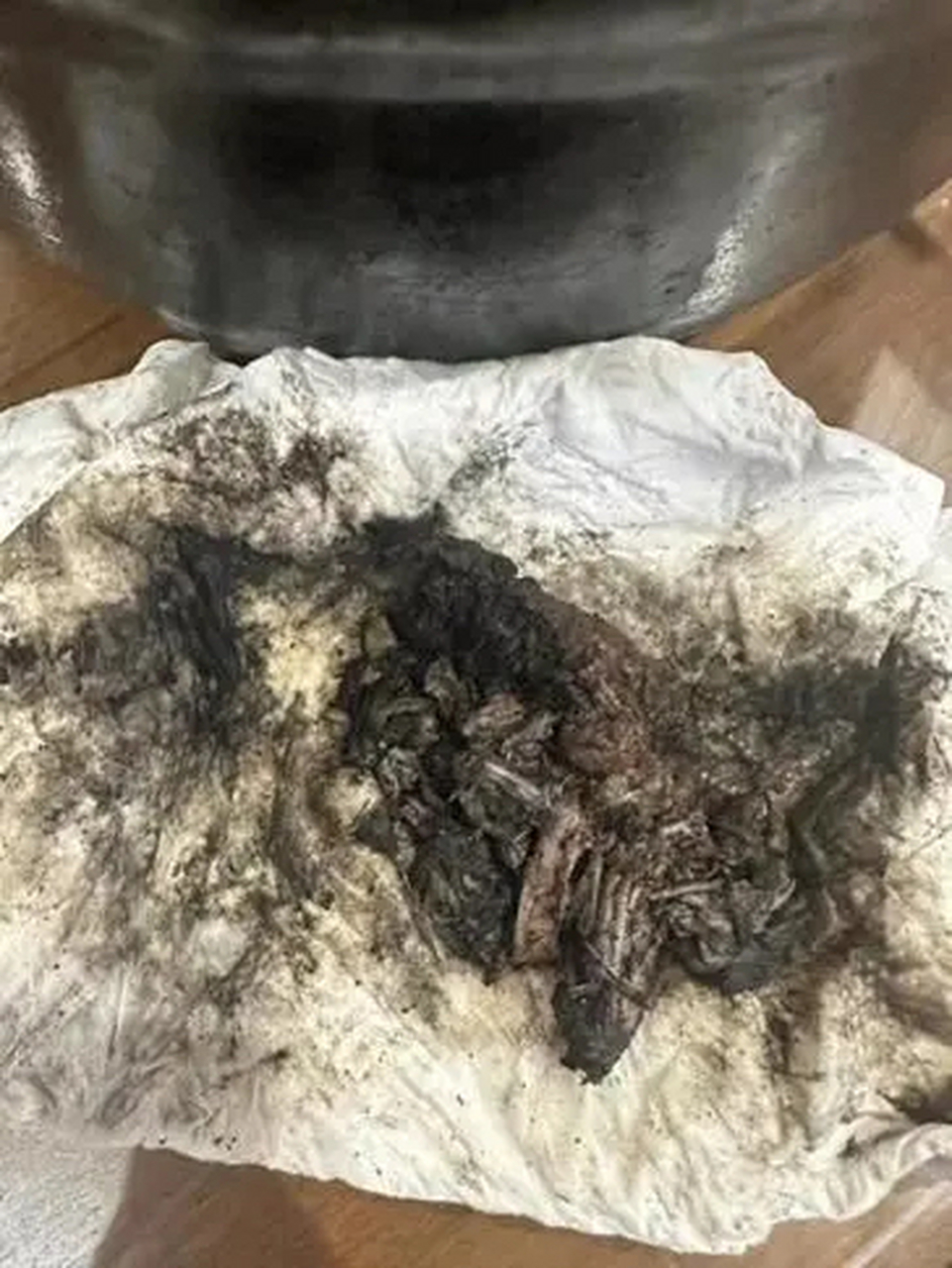 "一股下水道臭味……"苏州166元一碗的面吃出臭味异物?