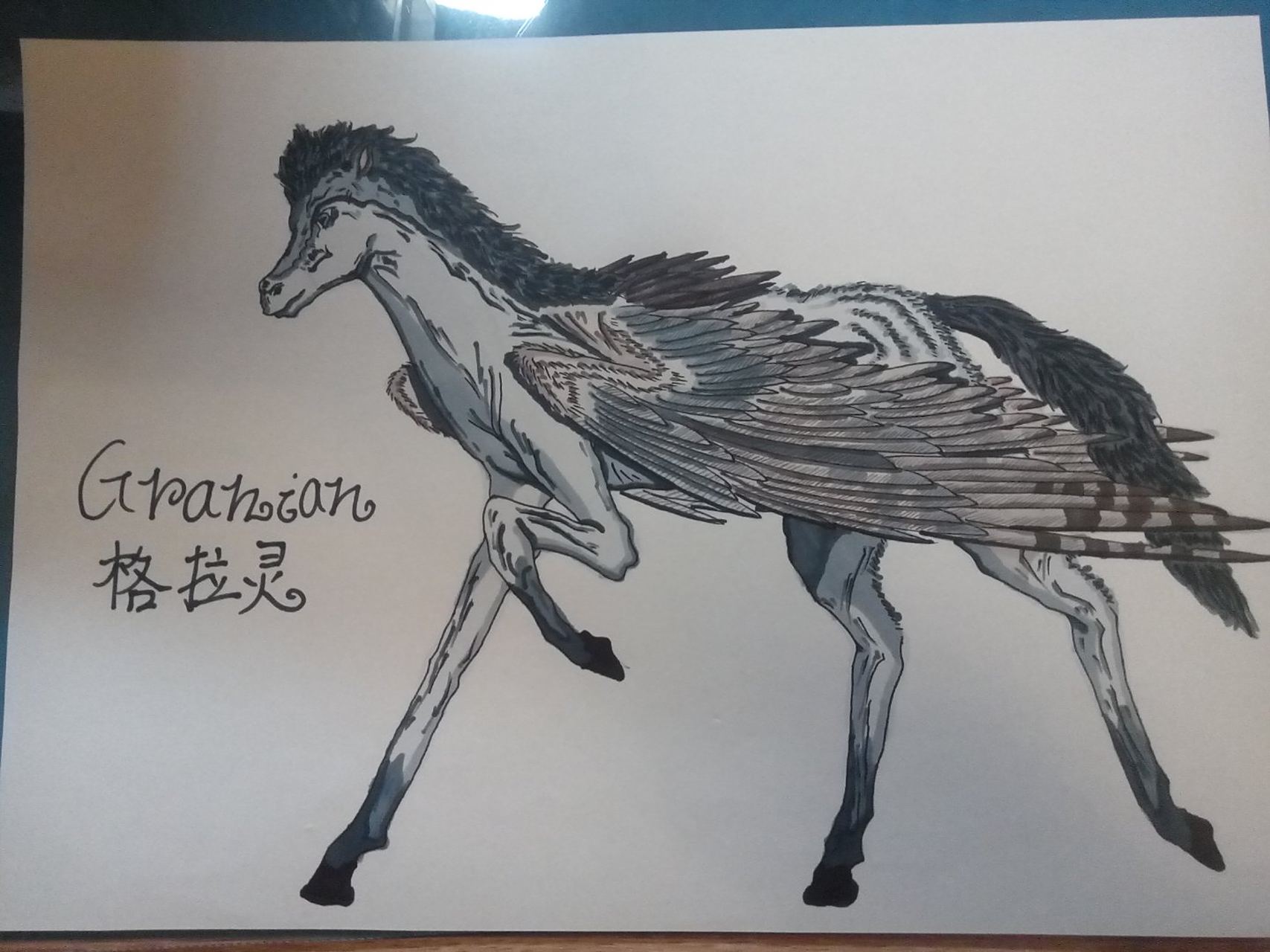 granian格拉灵 这是一种跑的很快的灰色飞马,在欧洲各地都很常见.