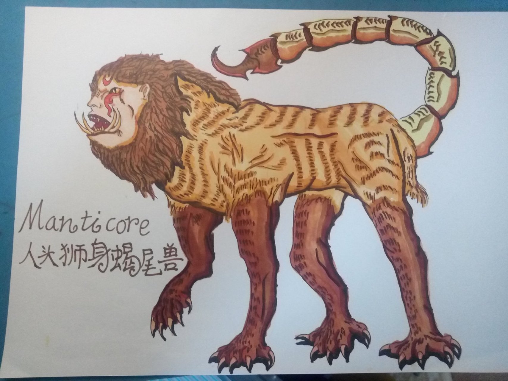 manticore人头狮身蝎尾兽 一种和客迈拉同样危险的野兽.