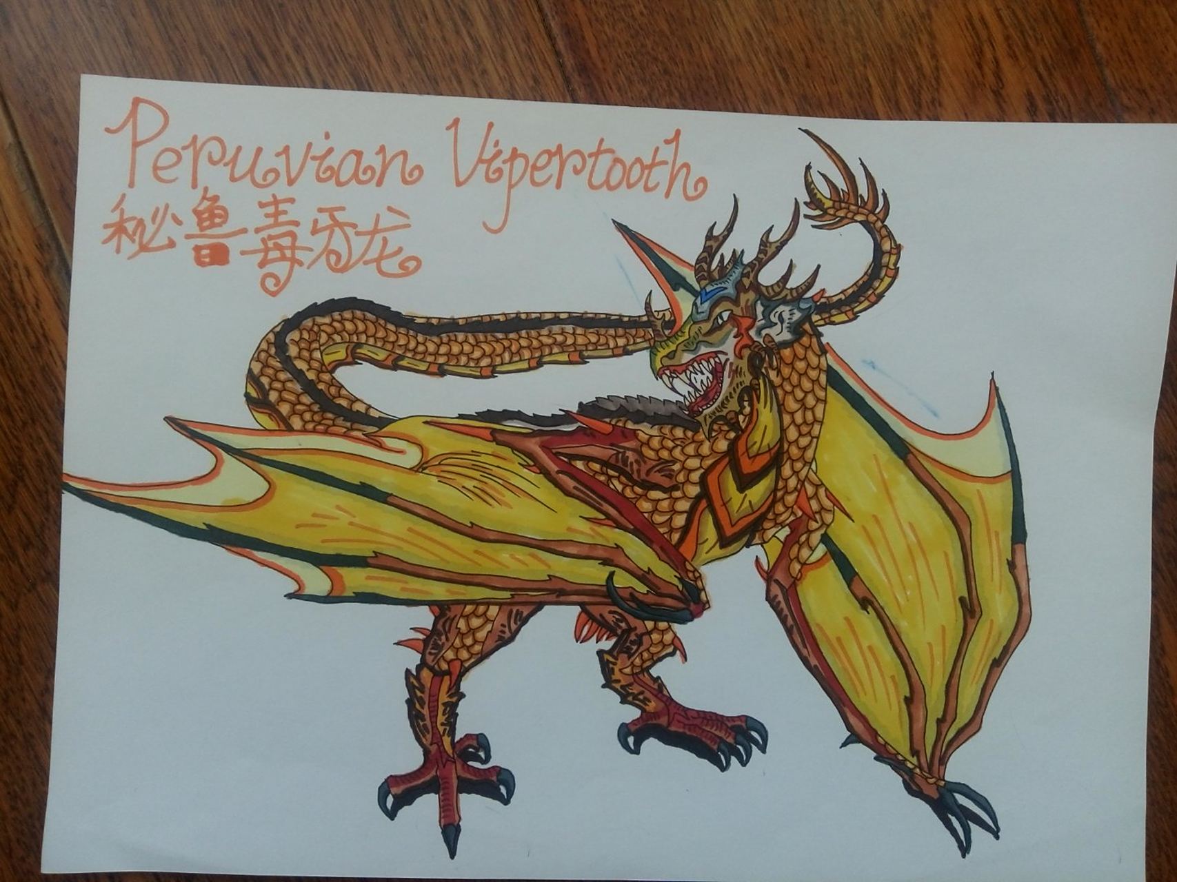 peruvian vipertooth秘鲁毒牙龙 这是所有火龙中体型最小的一种,被