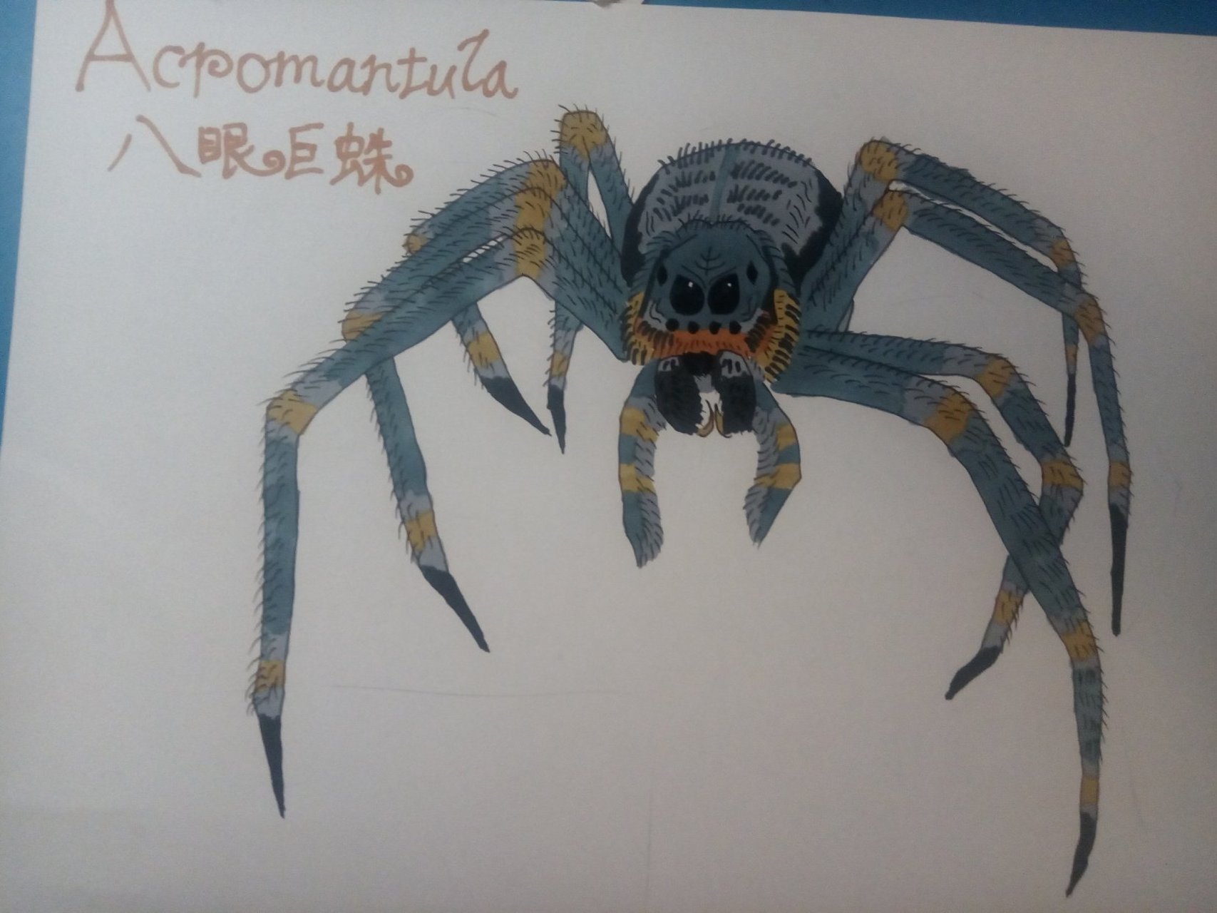 八眼巨蛛acromantula 这只八眼巨蛛不是阿拉戈克,阿拉戈克的眼睛是瞎