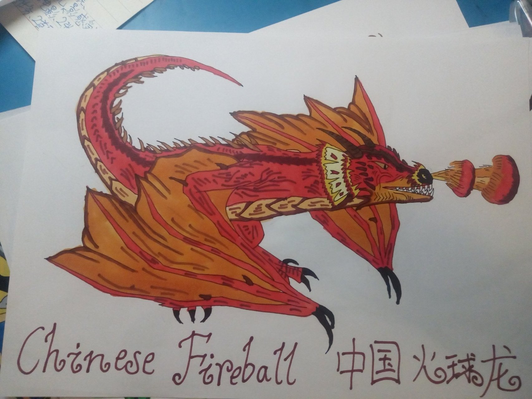 chinese fireball中国火球龙 这可是咱中国的物种哪!