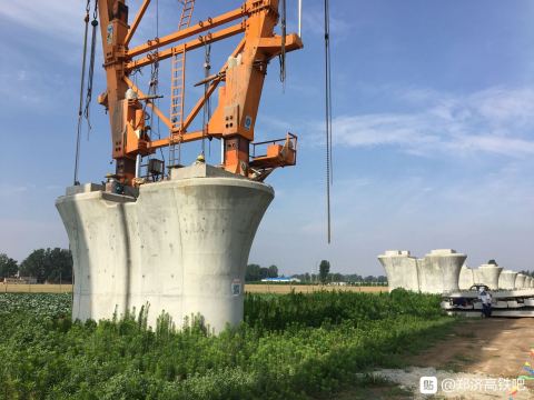 南京大活贴吧最新消息