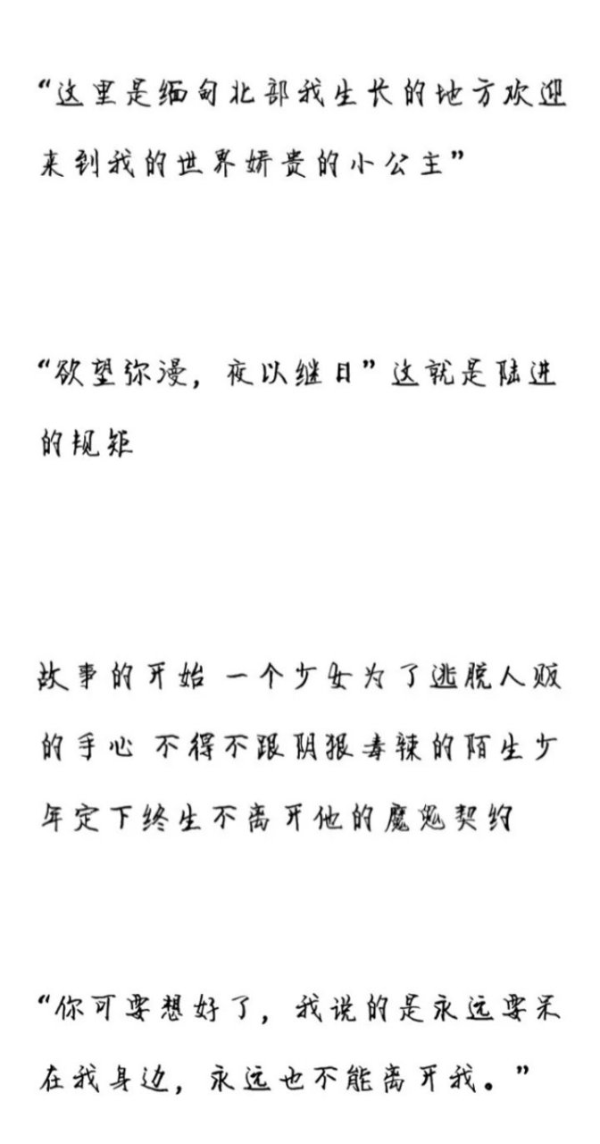 陆进不穿西装不带耳钉很稳重,是缅甸北部的王,只为他的小公主方寸大乱