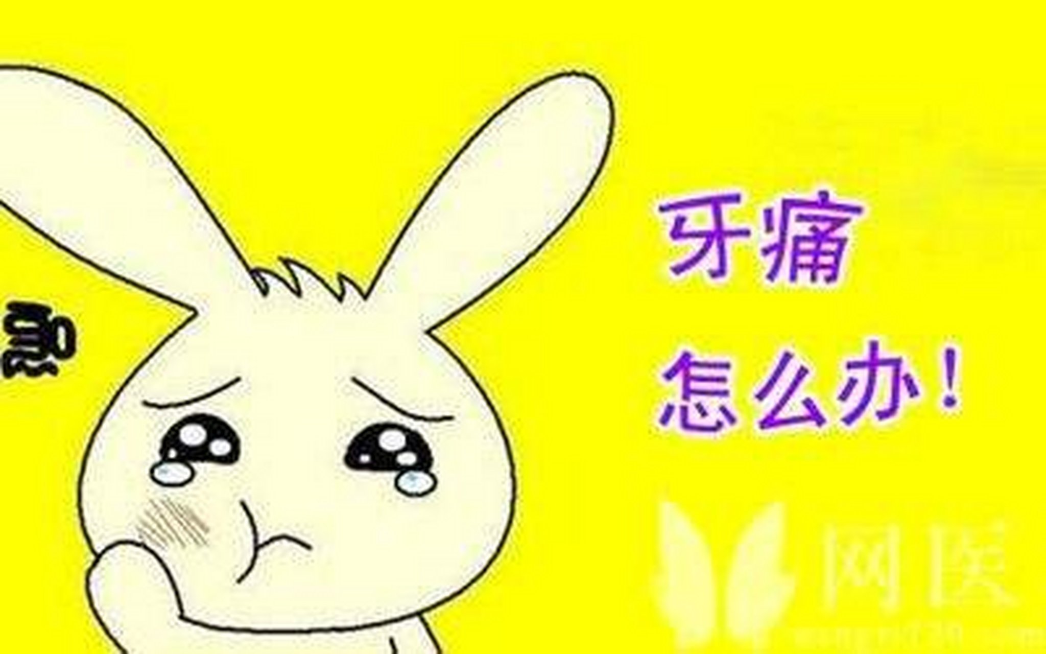 万能的朋友圈,谁有治牙痛的偏方,急急急