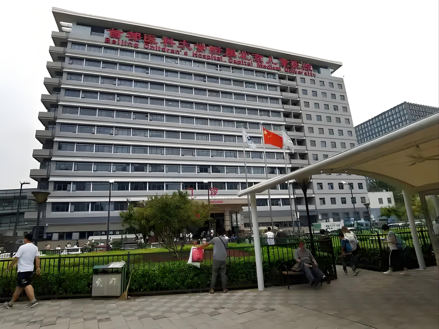 包含北京大学第六医院、平谷区黄牛挂号的词条