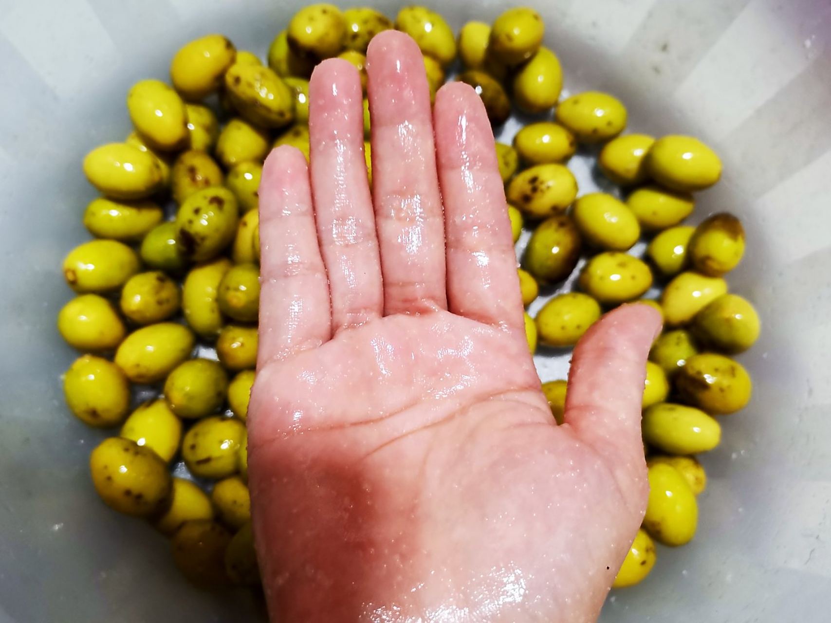 腌白橄榄的第一步就是用粗盐搓揉橄榄,让橄榄入味,那天老板娘就告诉我