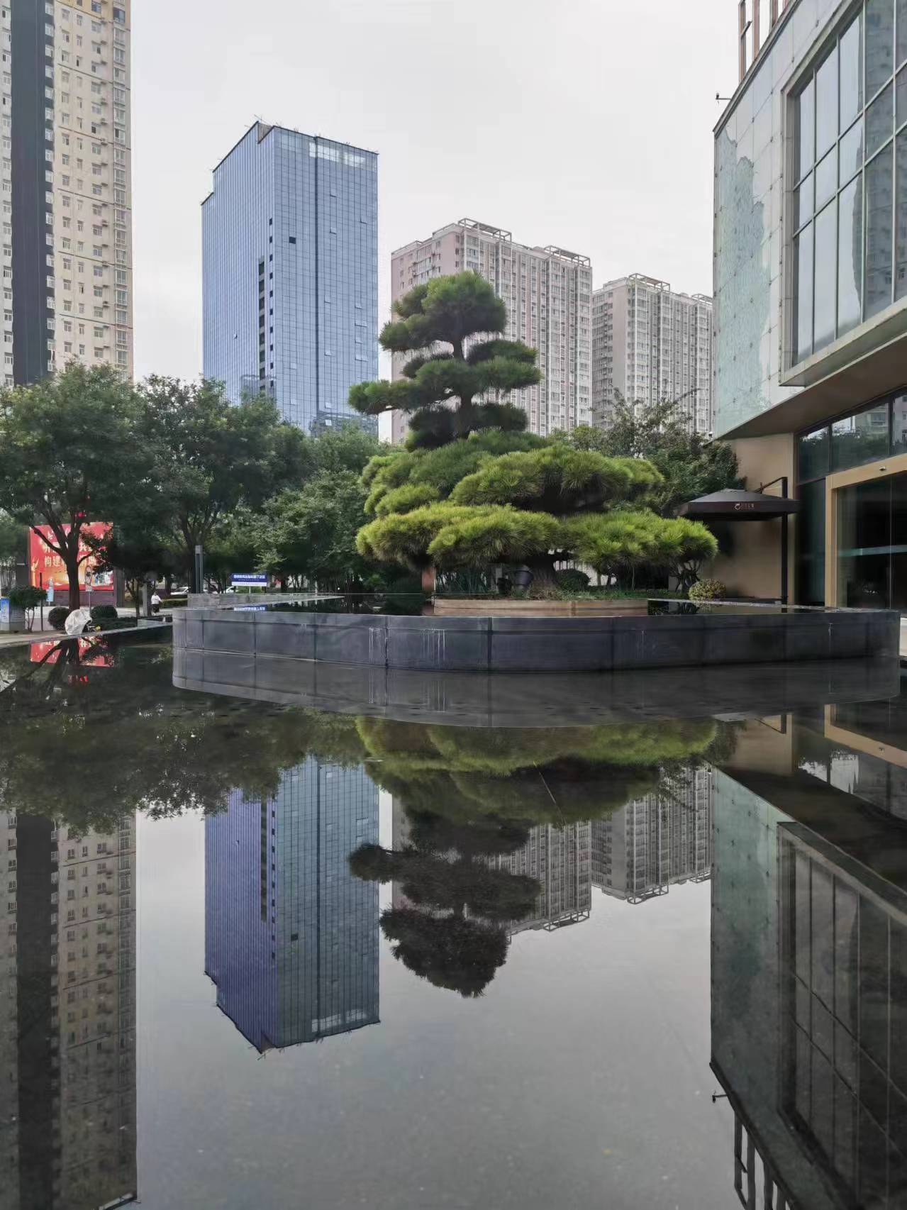 咸阳城市一隅,雨后静谧时光,没有湖,那是雨后的积水,像一面平静镜的湖