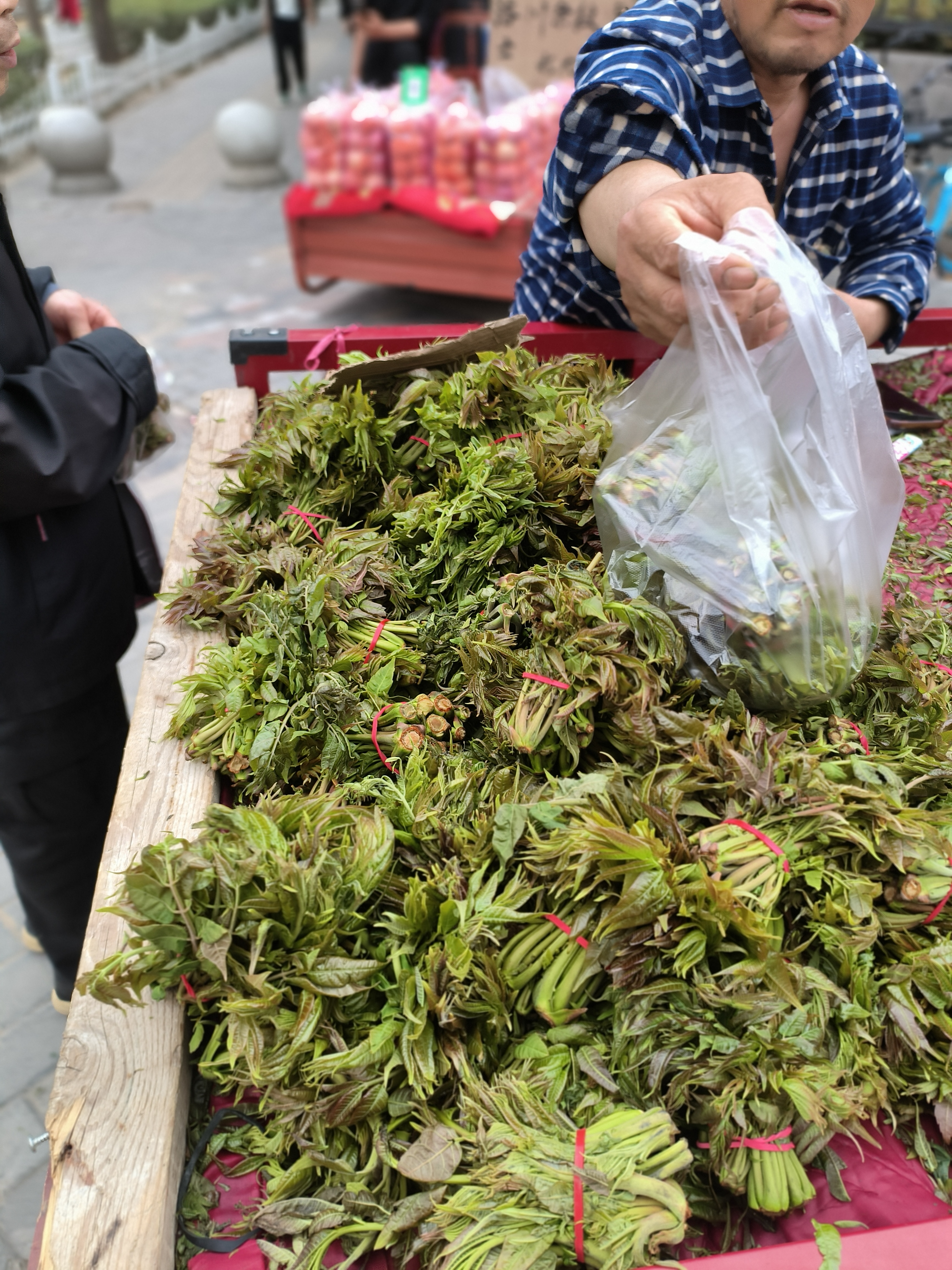 这么一三轮香椿芽卖不少钱.