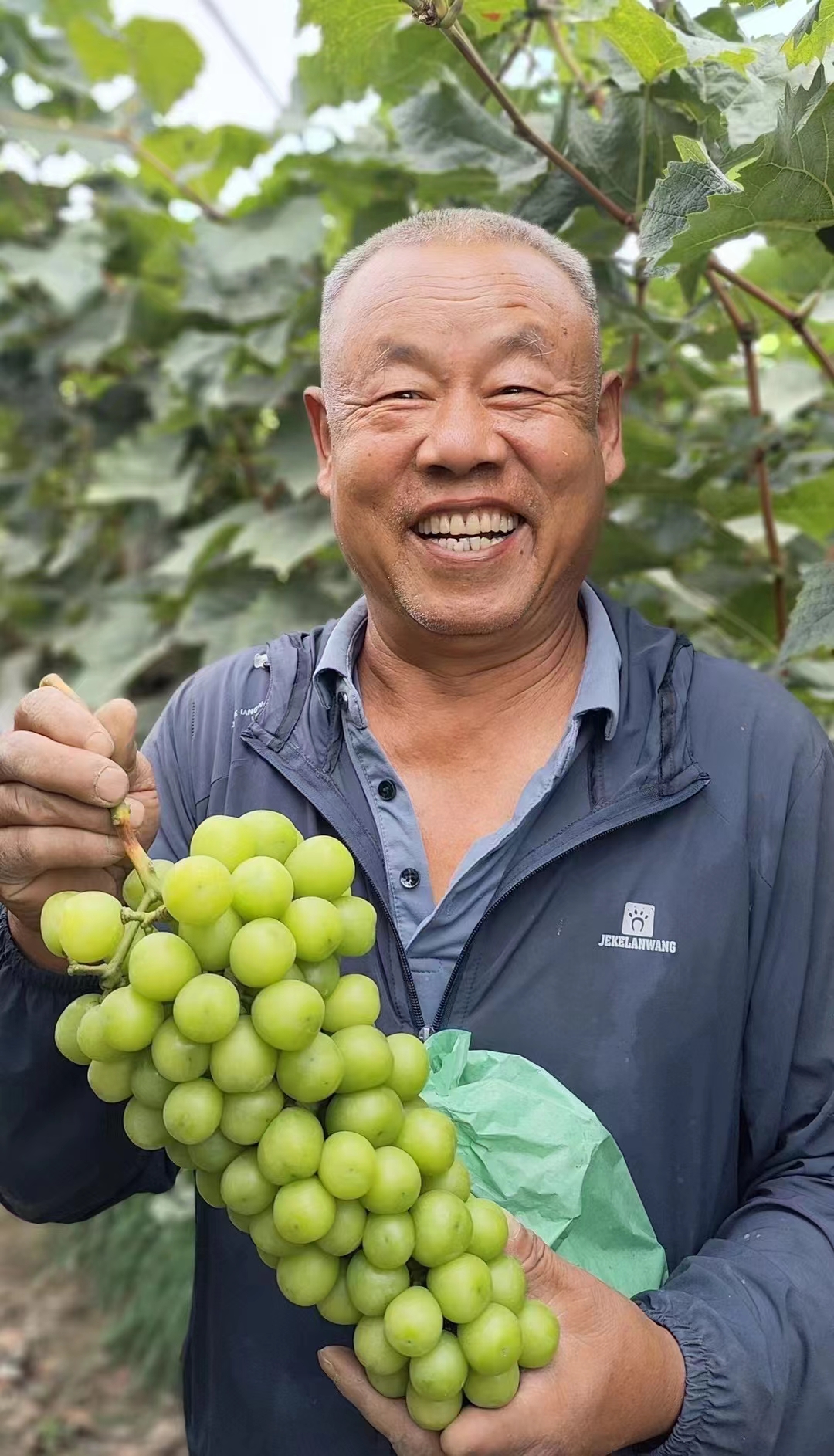 不幸落入寻常百姓家