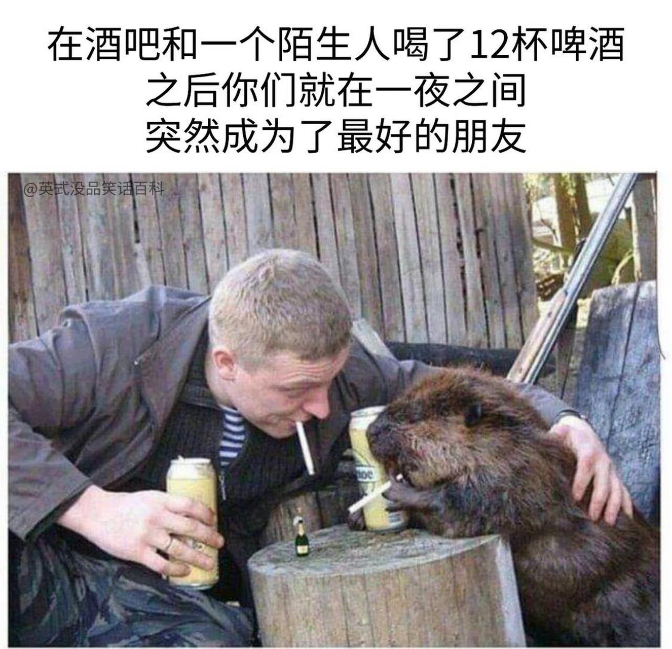 酒肉朋友,顾名思义,喝酒交朋友比较快.#万物皆可云