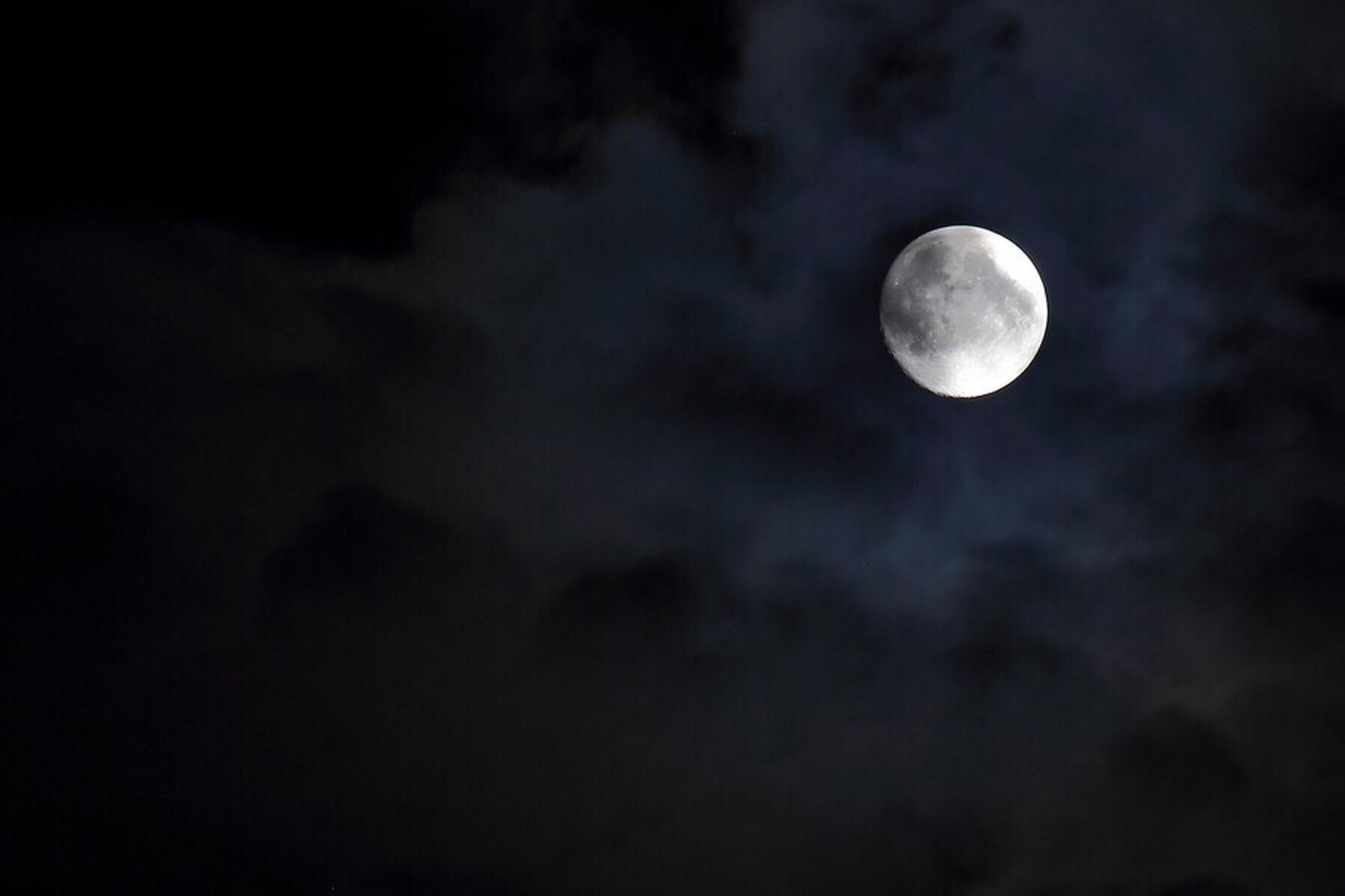 我本将心向明月奈何明月照沟渠(我本将心向明月奈何明月照沟渠反句)