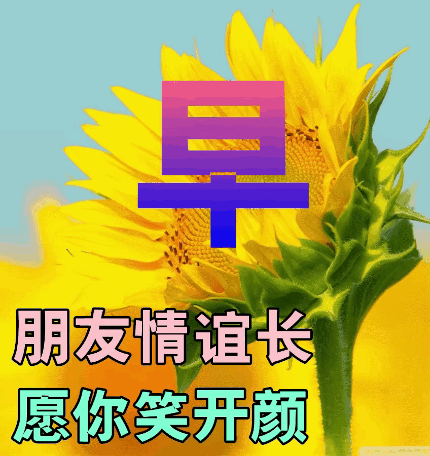 早上好,今天是美好的一天英语怎么说(今天是个美好的早晨)