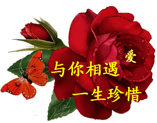 在这个温馨和浪漫的节日里, 愿有情人终成眷属