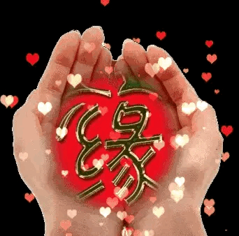 一个"缘"字; 包含了,多少偶然; 因为缘份,都是上